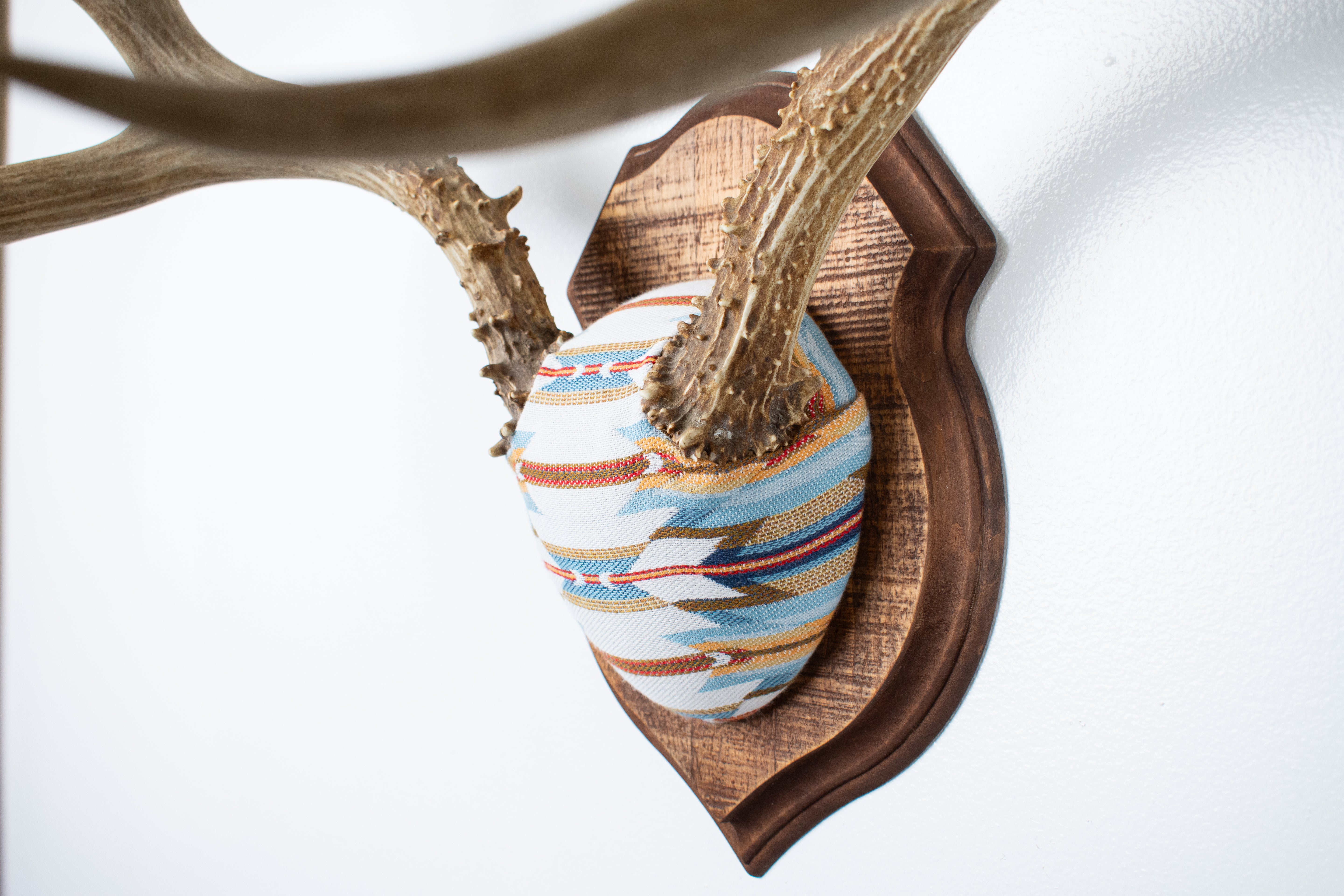 Mule Deer Antler Mount | Sunset | 02