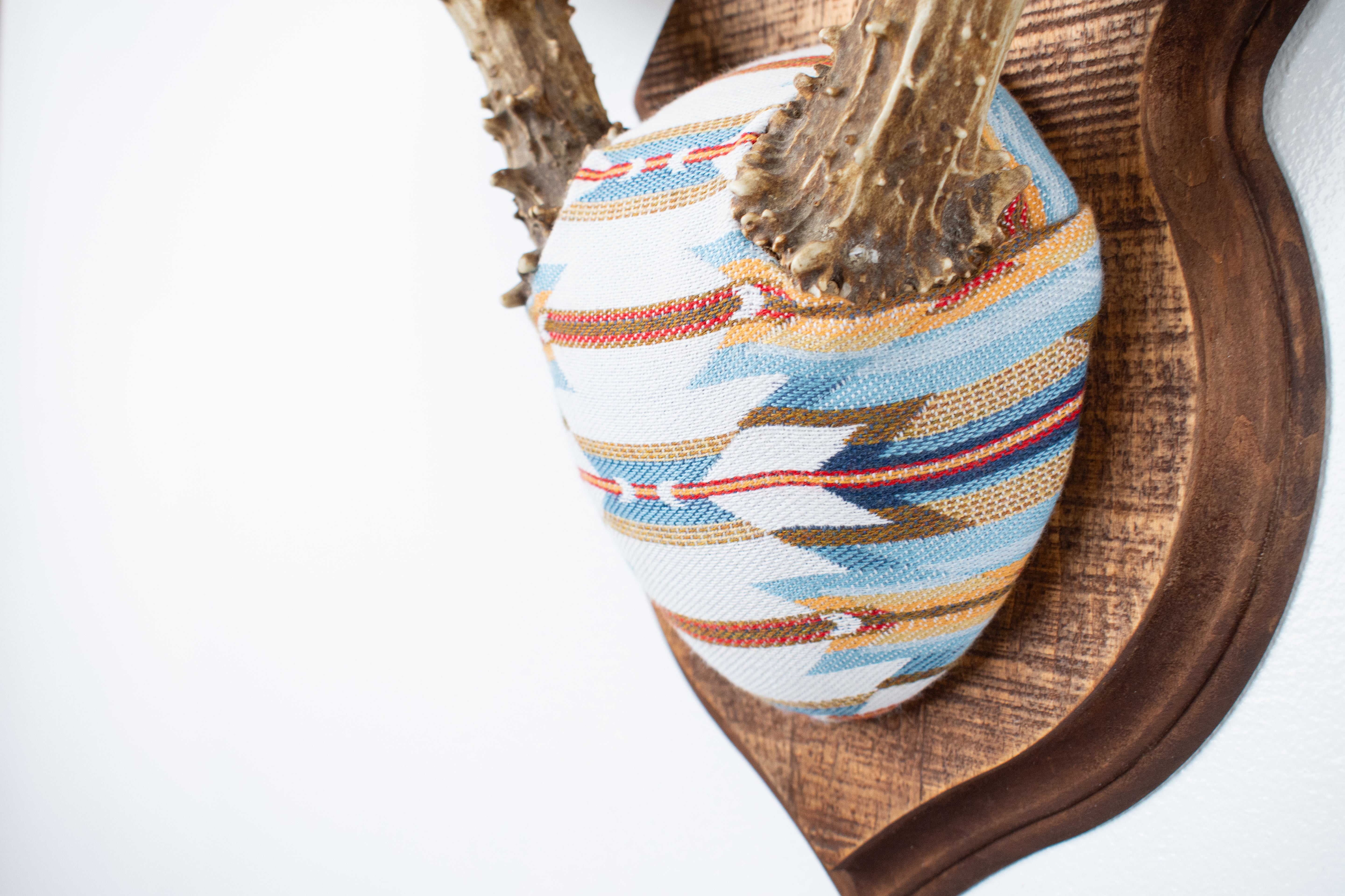 Mule Deer Antler Mount | Sunset | 02