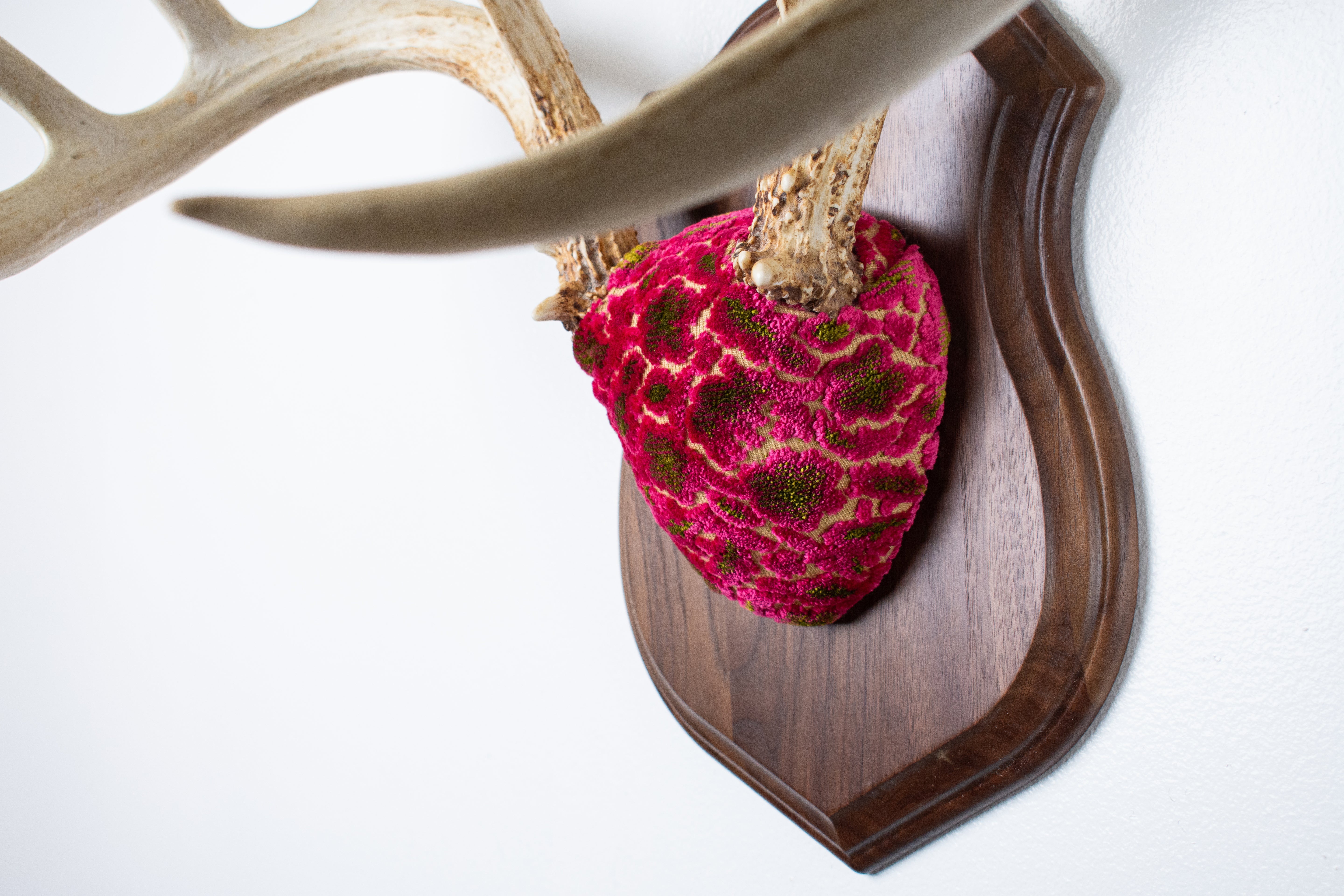Whitetail Deer Antler Mount | Magenta & Olive | 03