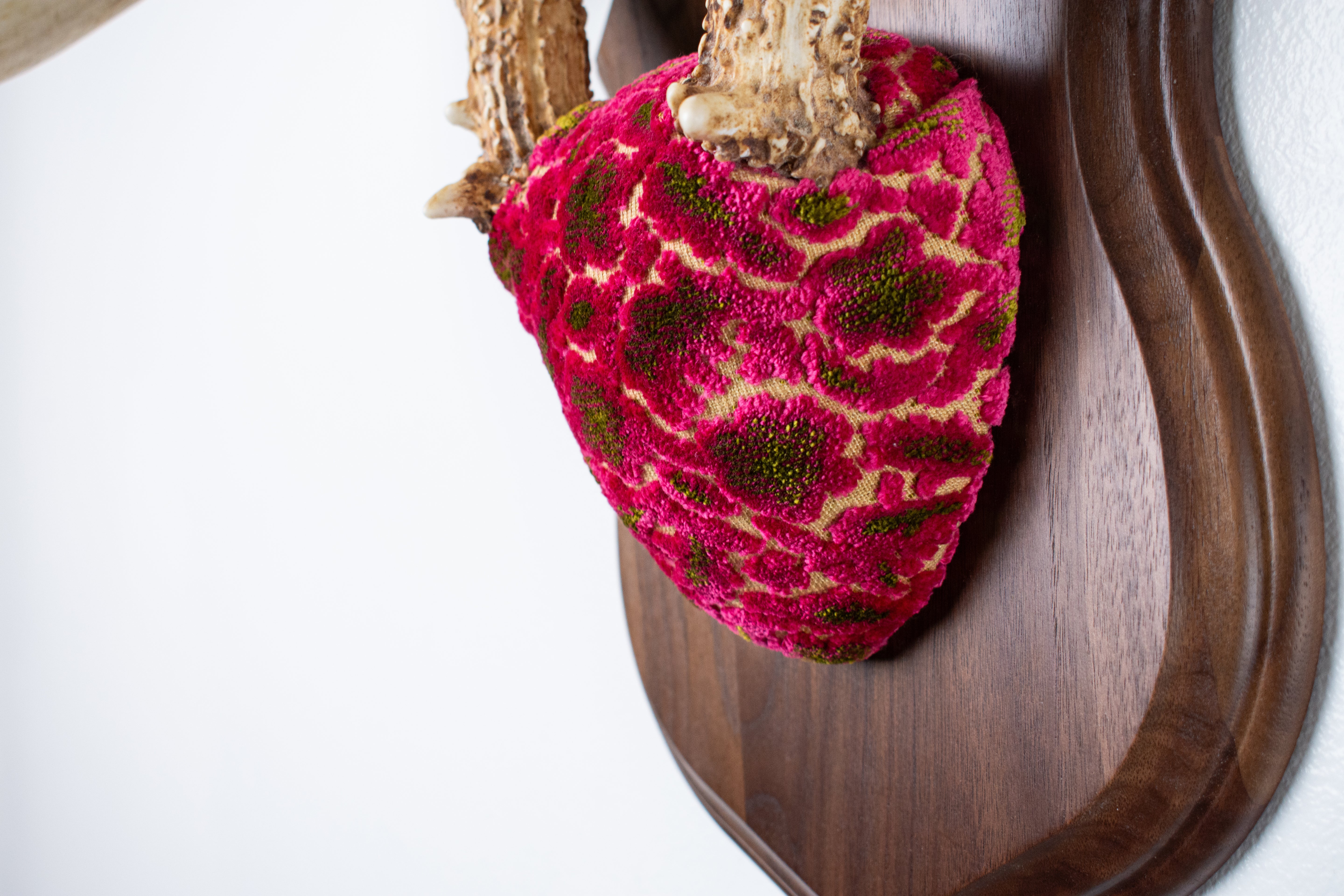 Whitetail Deer Antler Mount | Magenta & Olive | 03