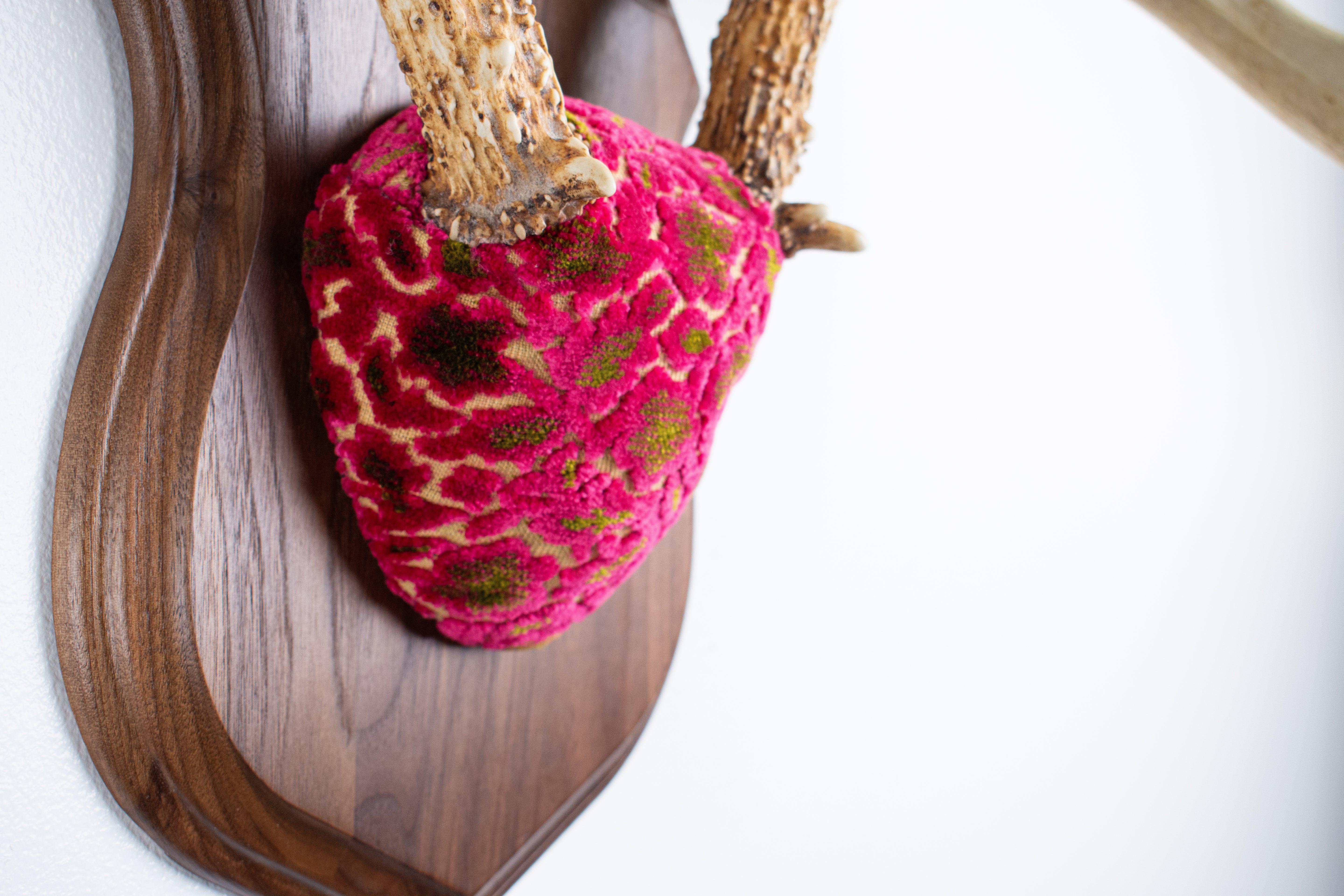 Whitetail Deer Antler Mount | Magenta & Olive | 03