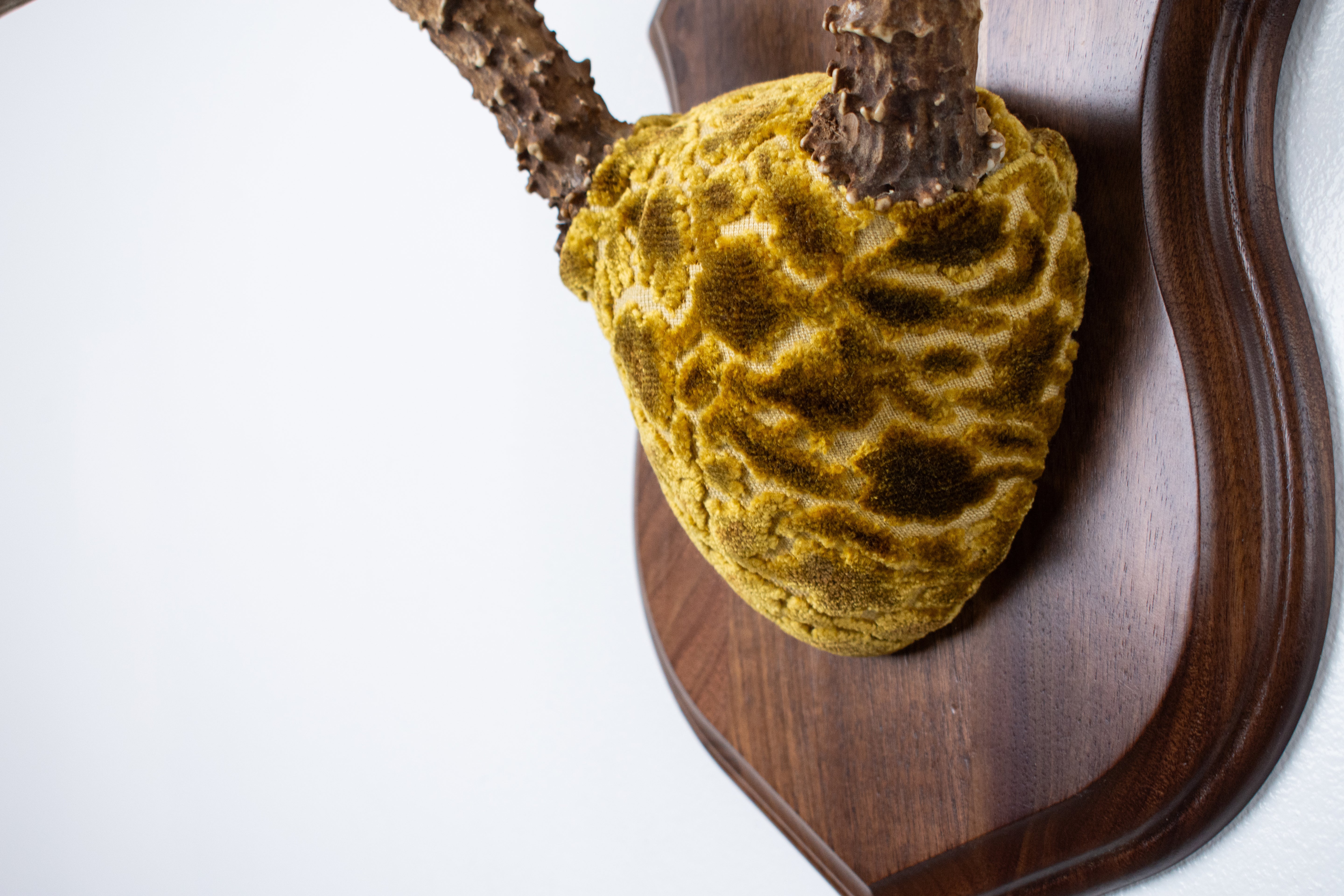 Mule Deer Antler Mount | Antique Gold & Umber | 02
