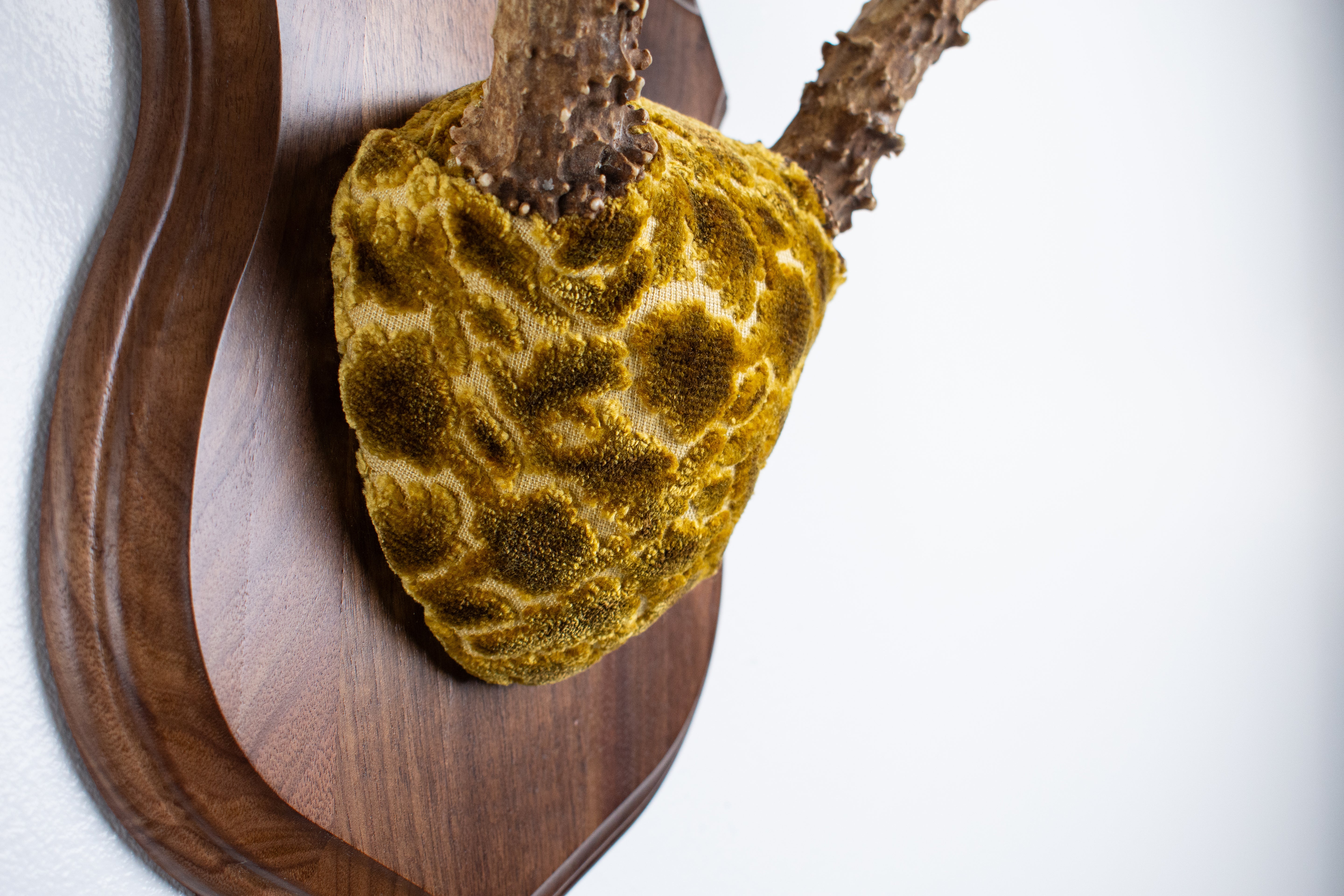 Mule Deer Antler Mount | Antique Gold & Umber | 02