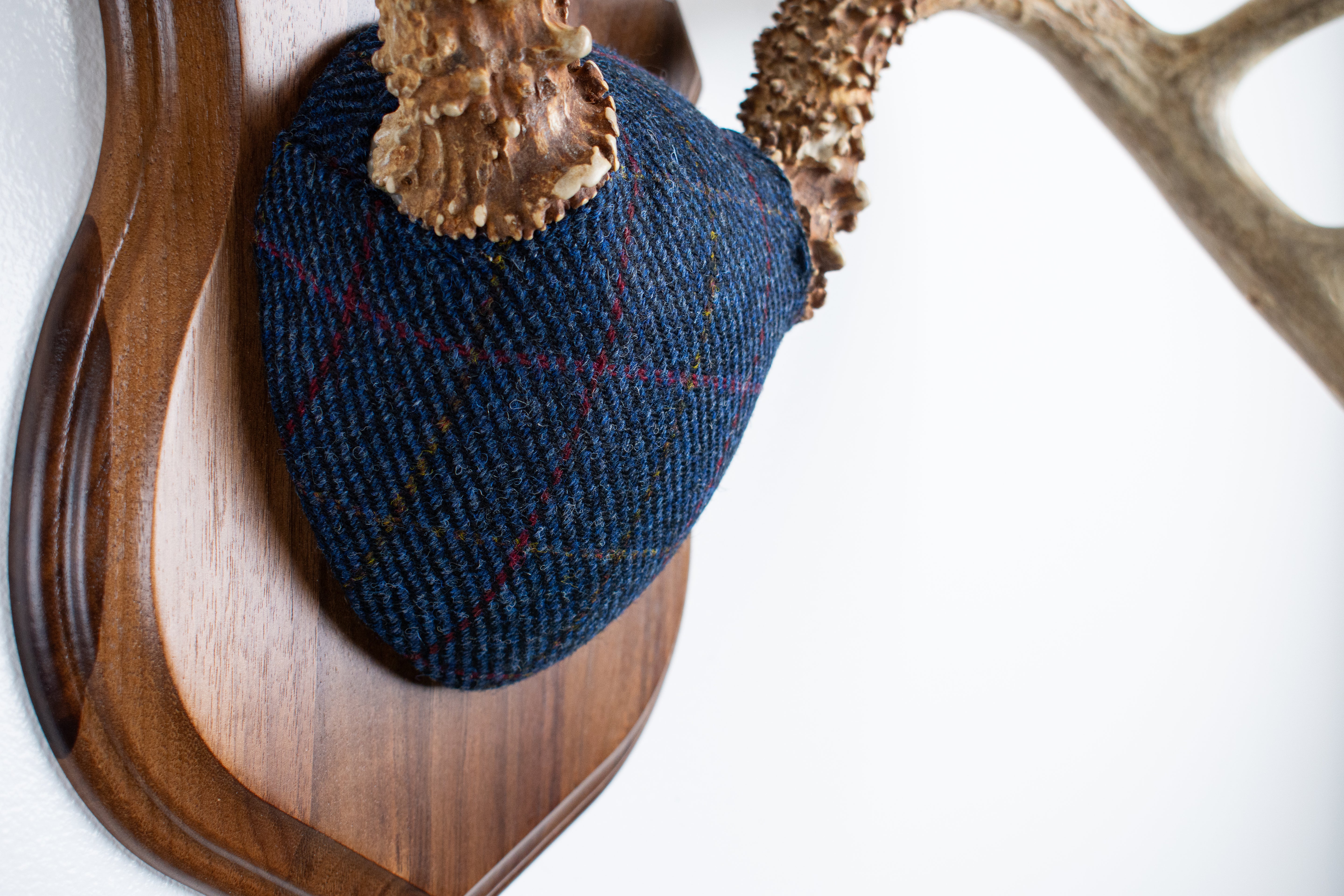 Whitetail Deer Antler Mount | Blue with Red Overcheck | 11