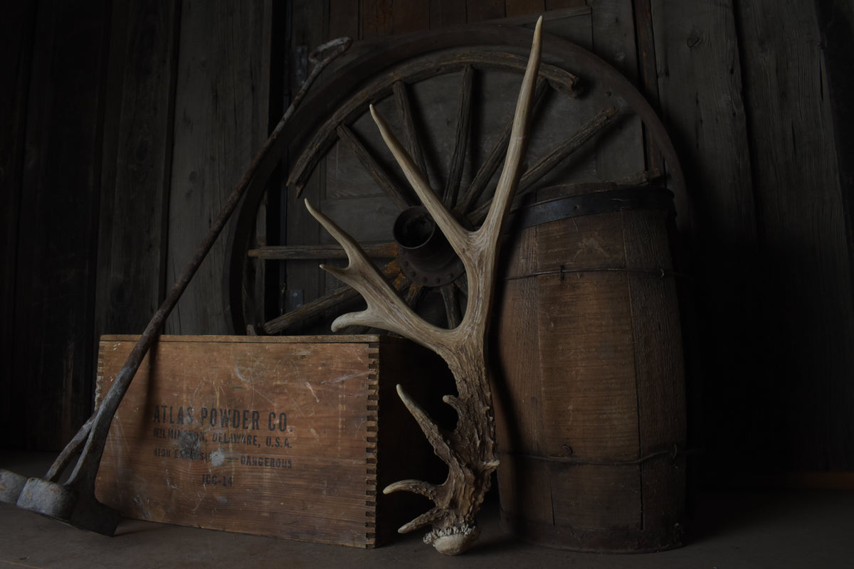 Antlers on a wooden box with a rustic wheel in the background