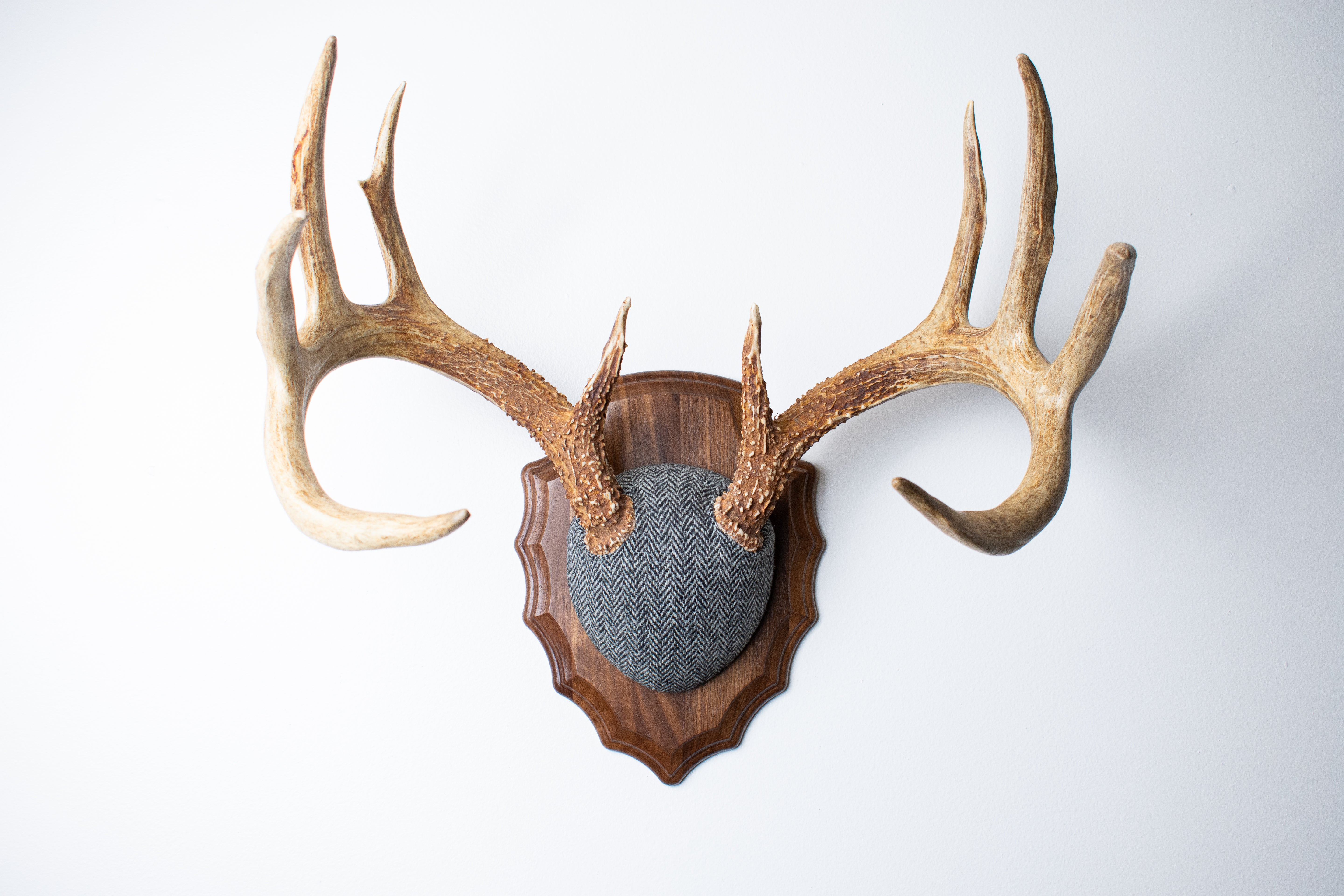 Whitetail Antler Mount | Grey & Black Herringbone | 14