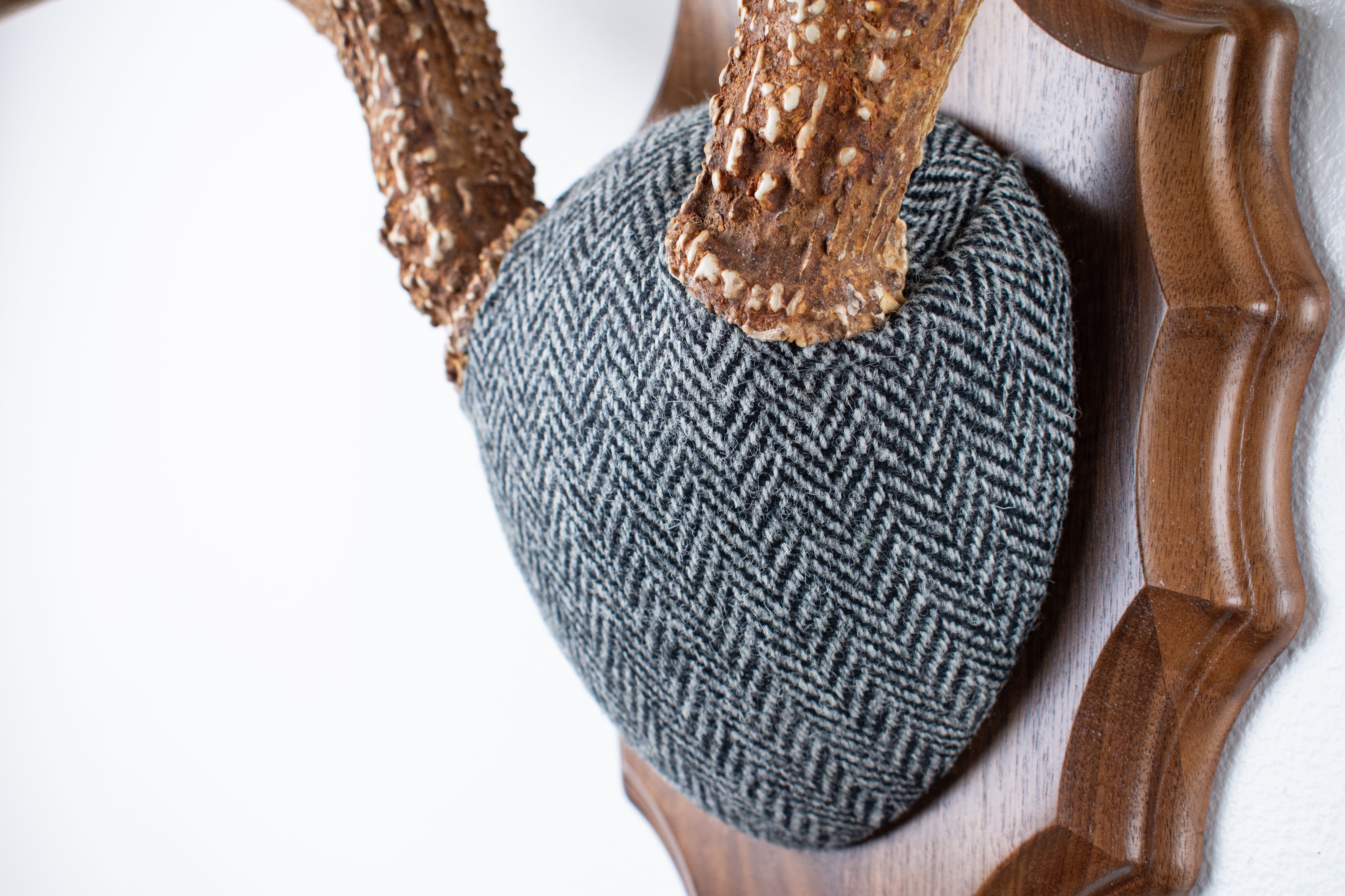 Whitetail Antler Mount | Grey & Black Herringbone | 14