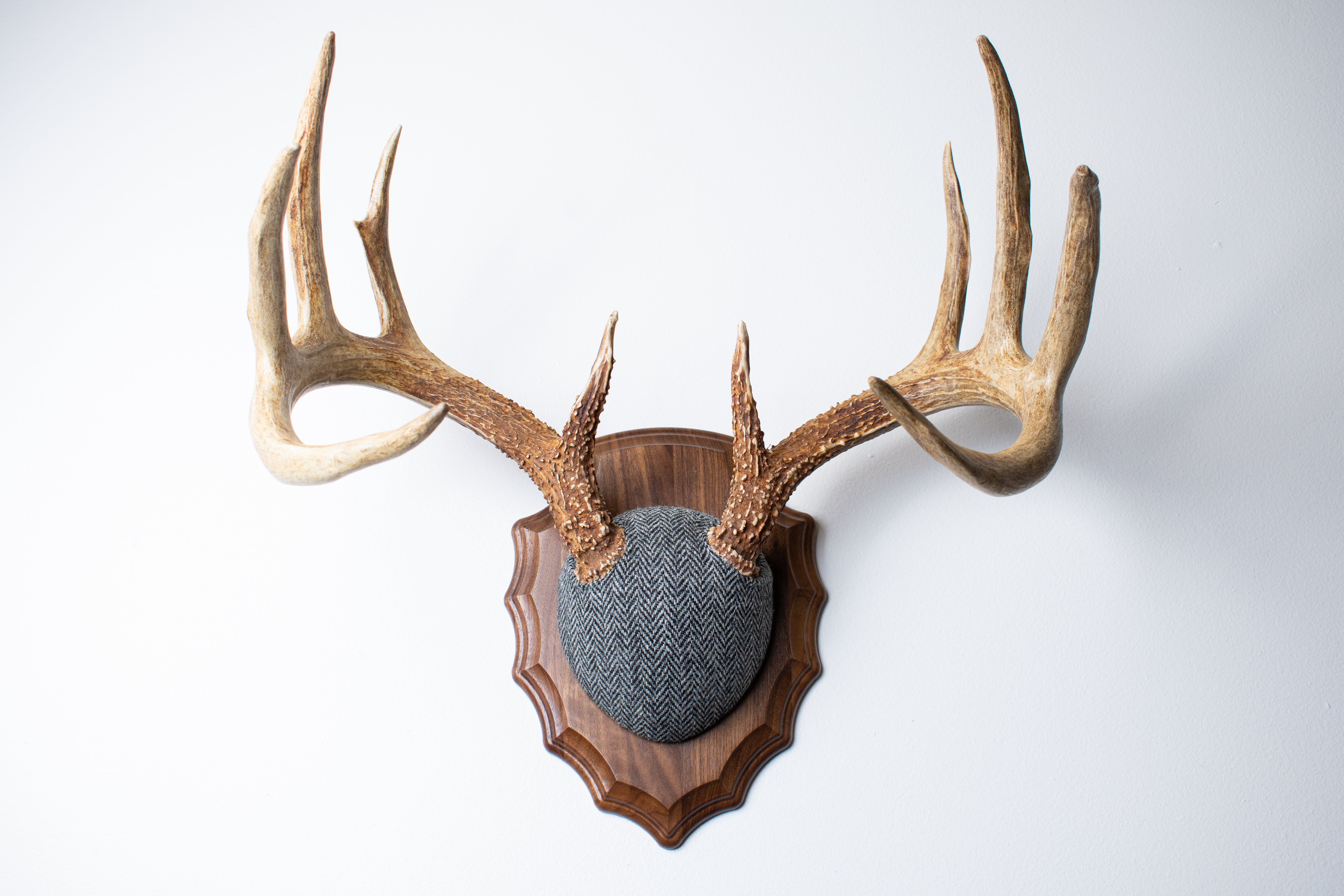 Whitetail Antler Mount | Grey & Black Herringbone | 14