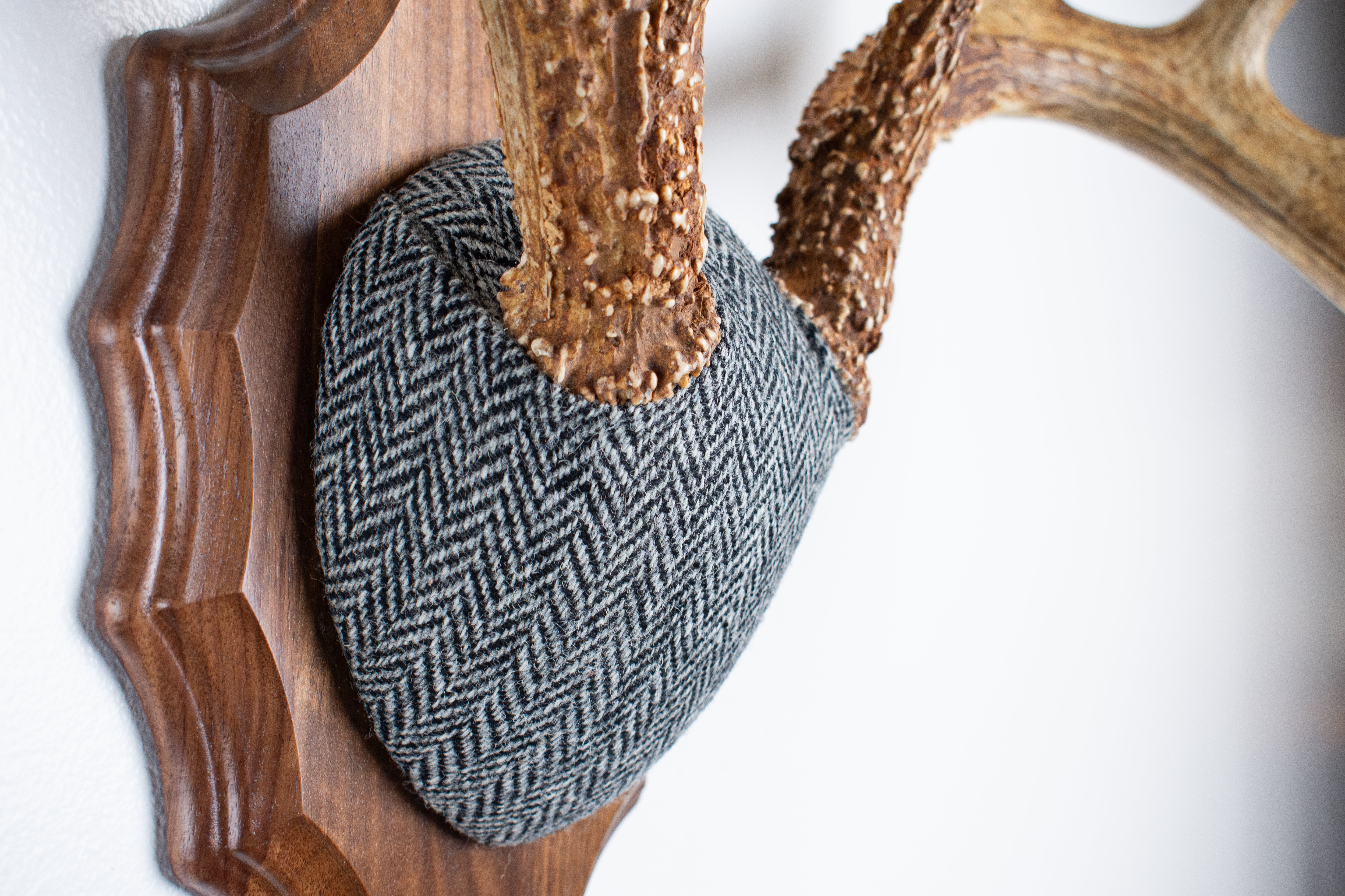 Whitetail Antler Mount | Grey & Black Herringbone | 14