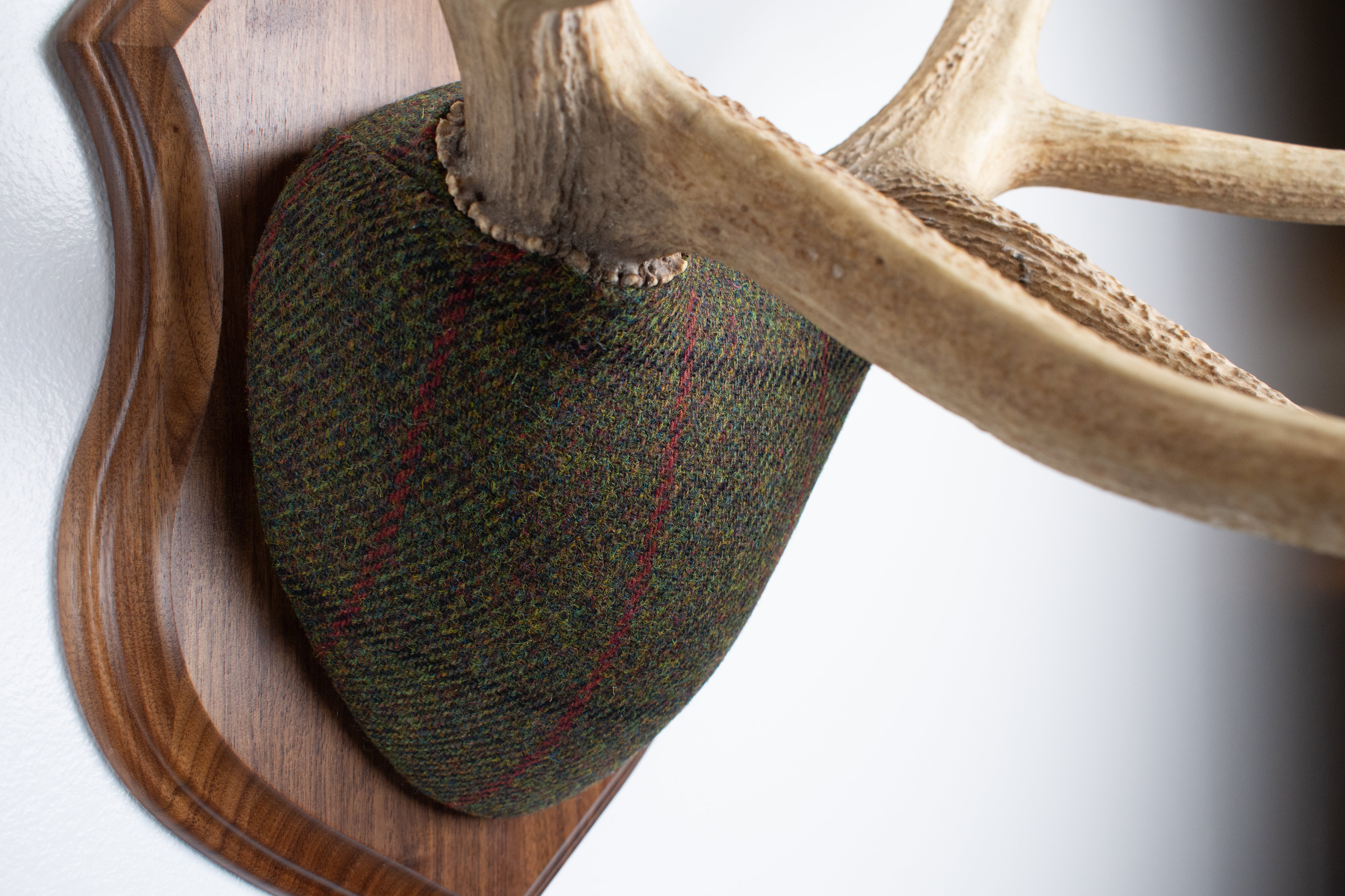 Elk Antler Mount | Green, Black and Red Overcheck | 16