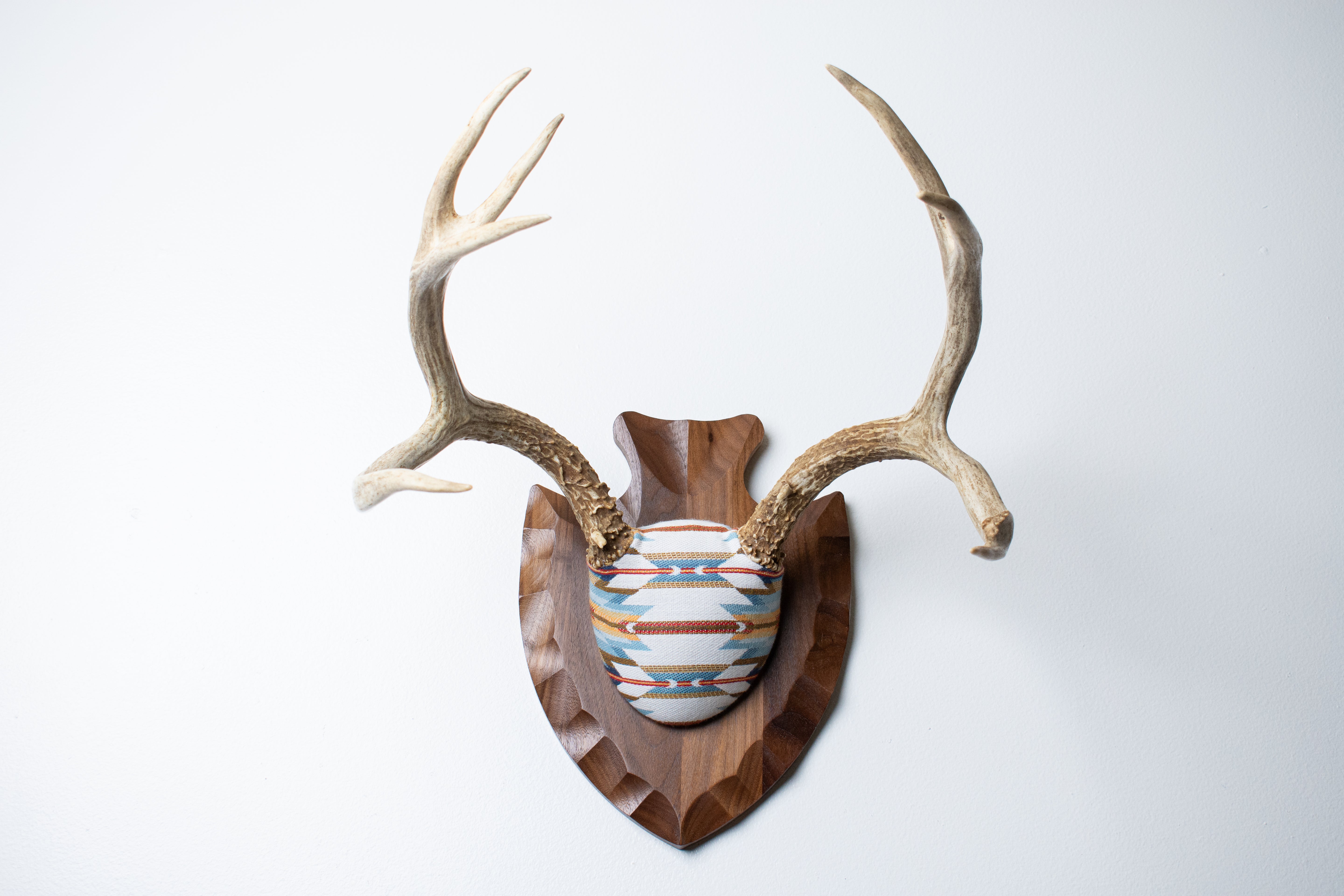 Mule Deer Antler Mount | Sunset | 03