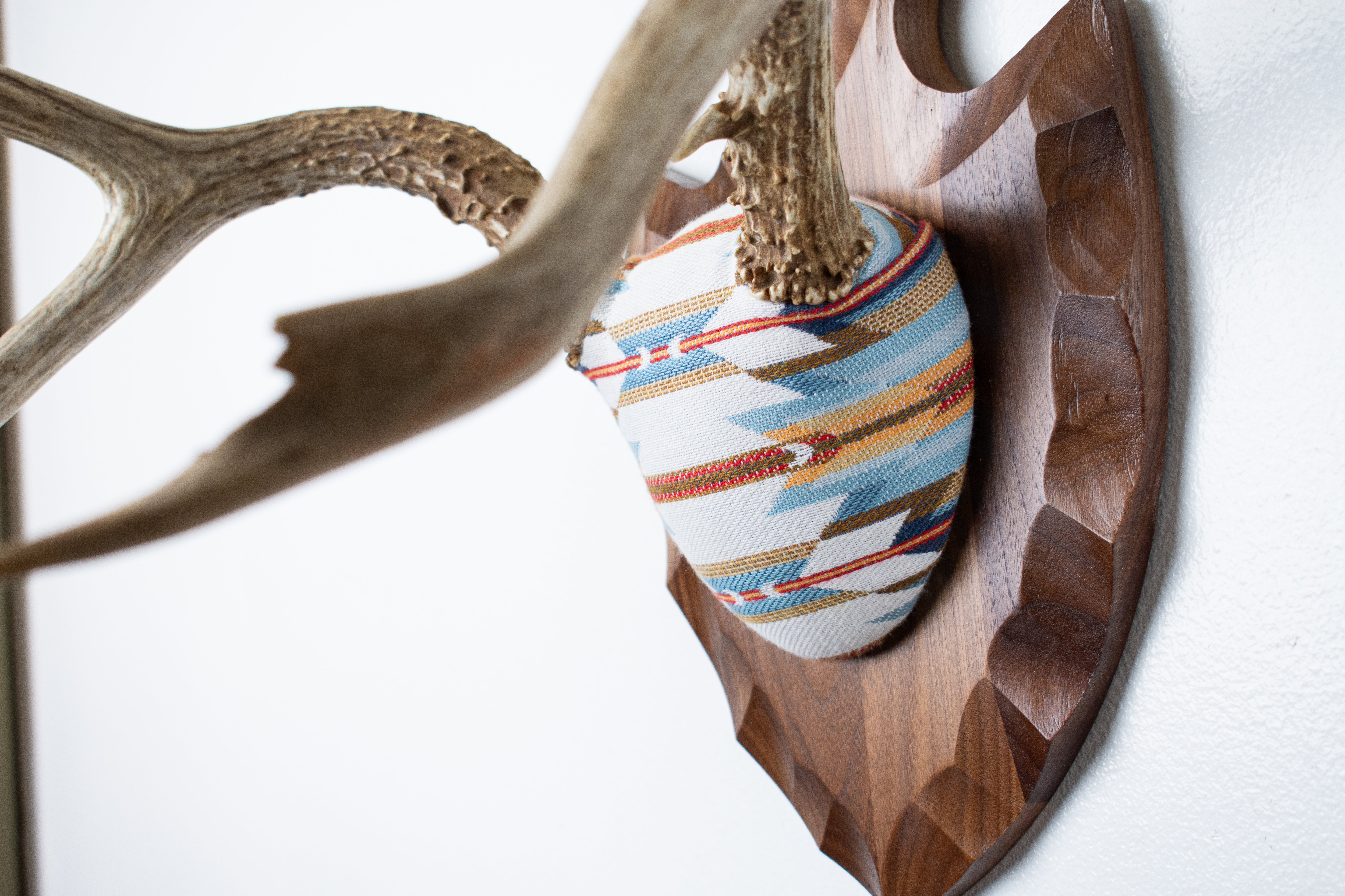 Mule Deer Antler Mount | Sunset | 03