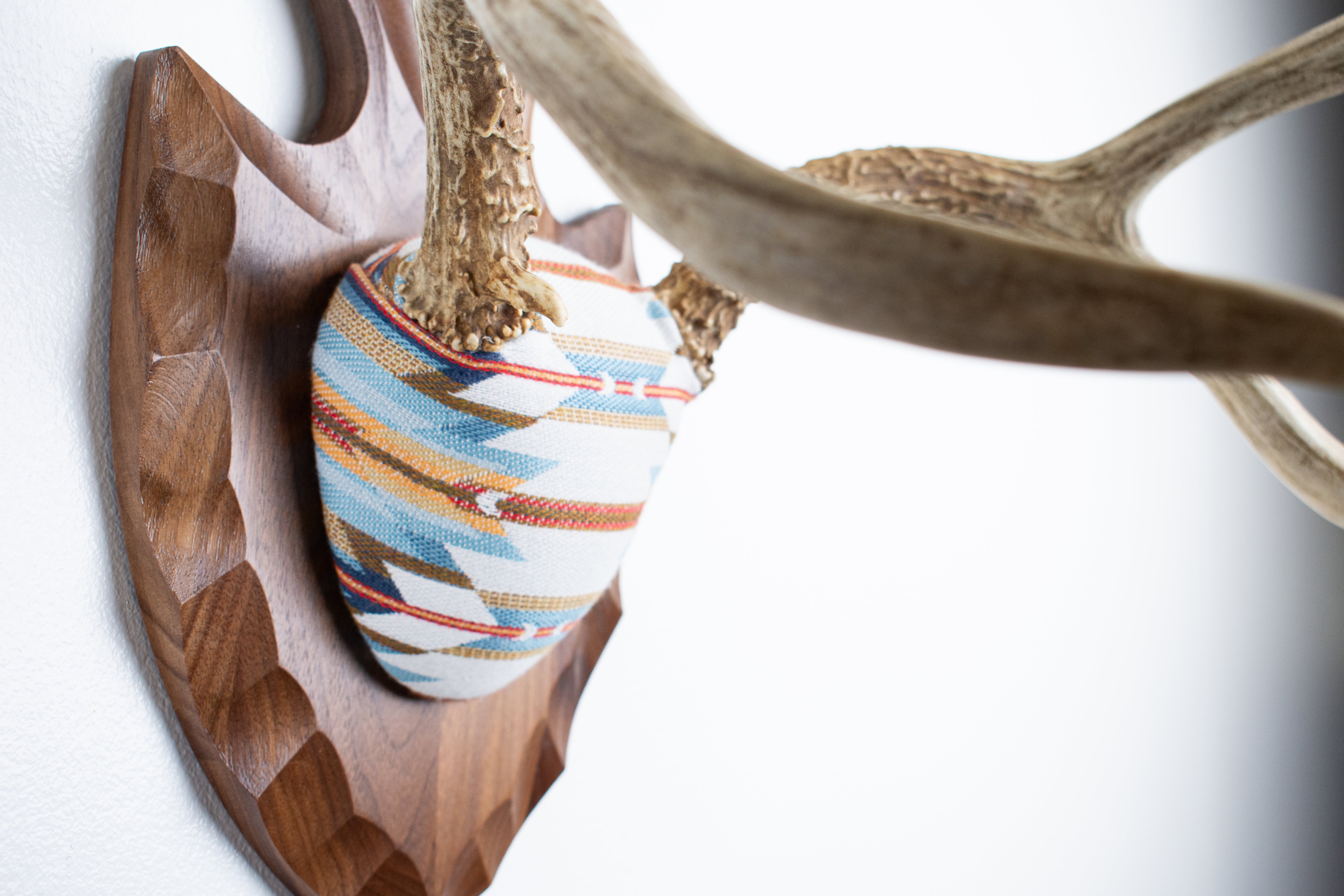 Mule Deer Antler Mount | Sunset | 03