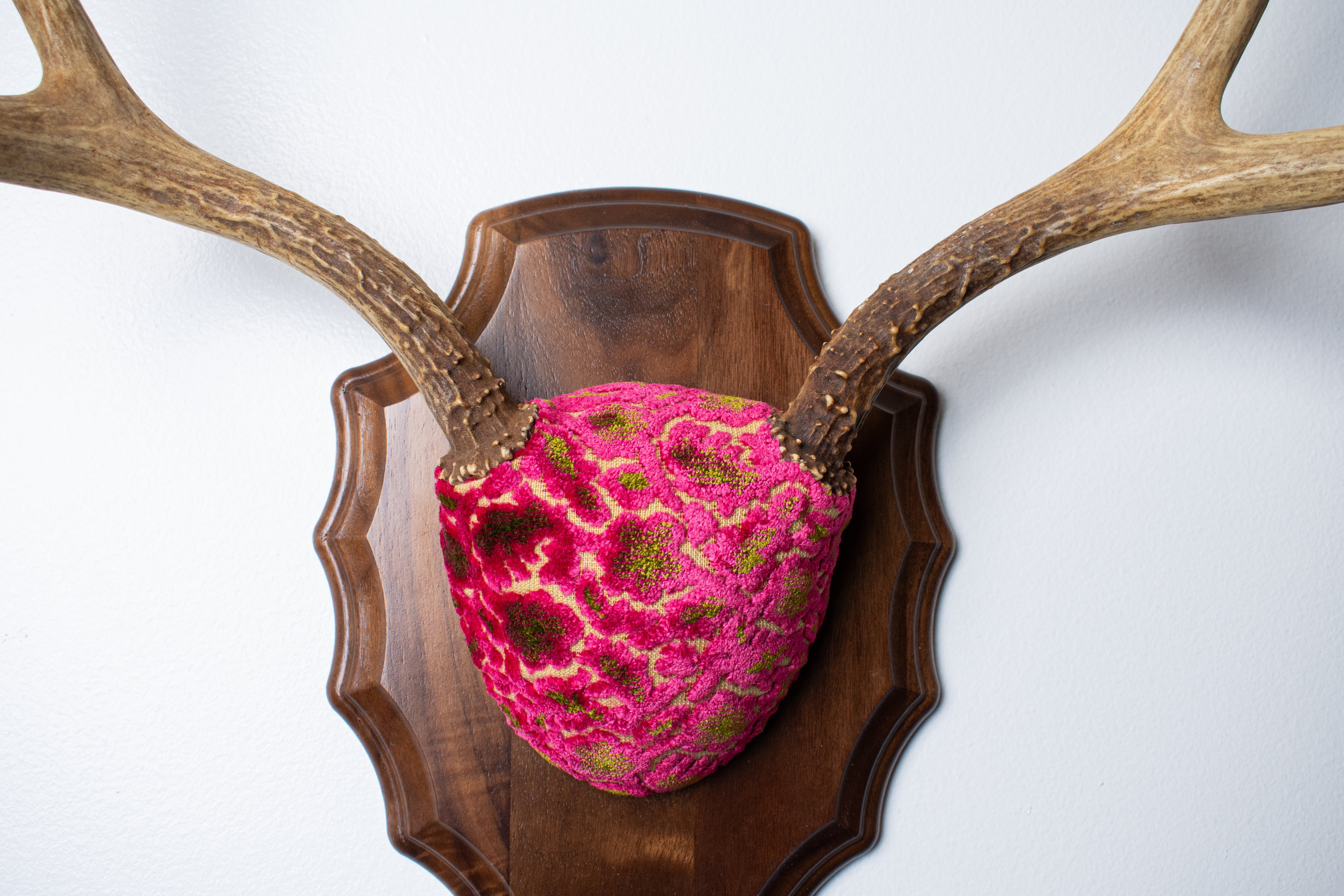 Mule Deer Antler Mount | Magenta & Olive | 05 | SOLD OUT