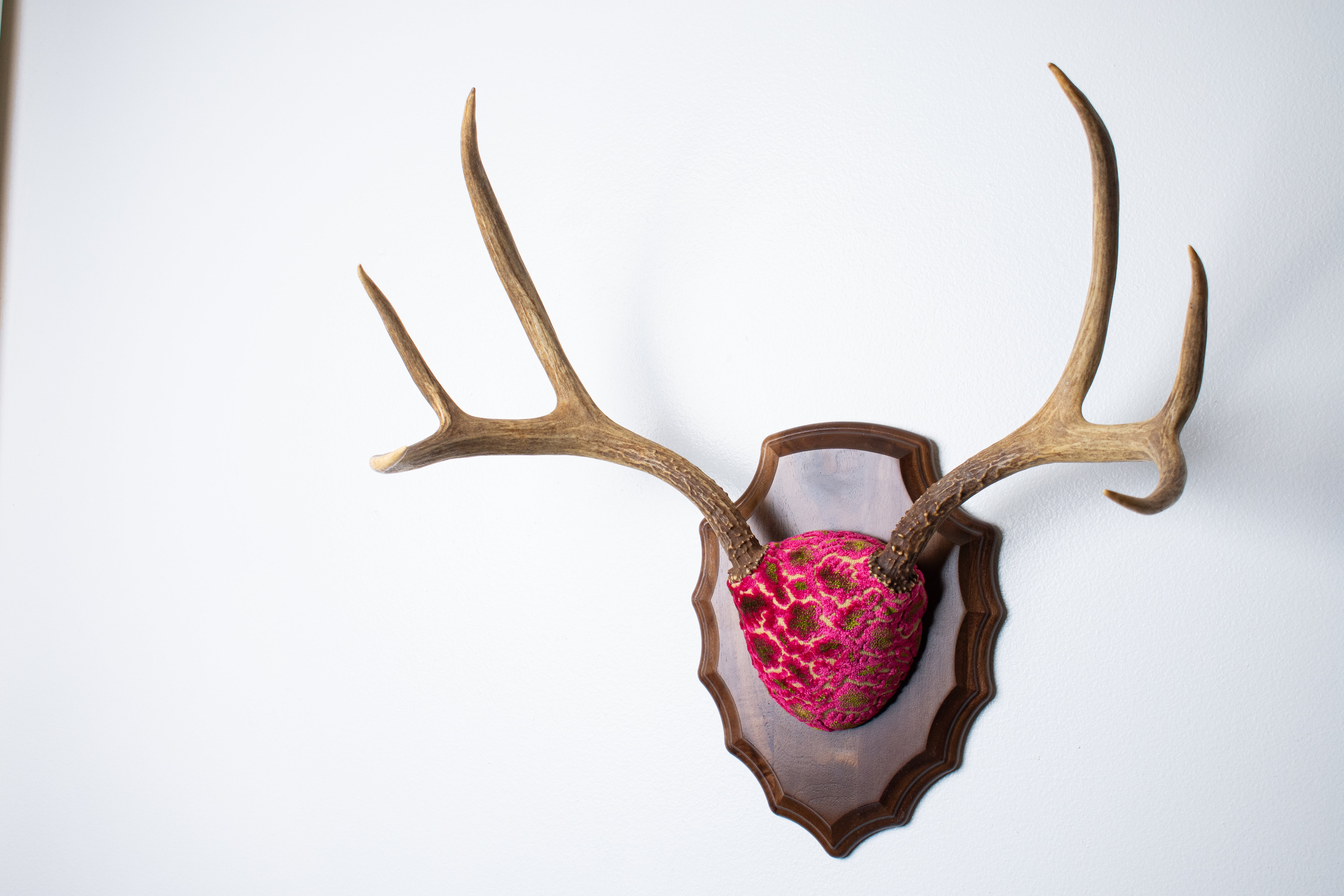 Mule Deer Antler Mount | Magenta & Olive | 05 | SOLD OUT