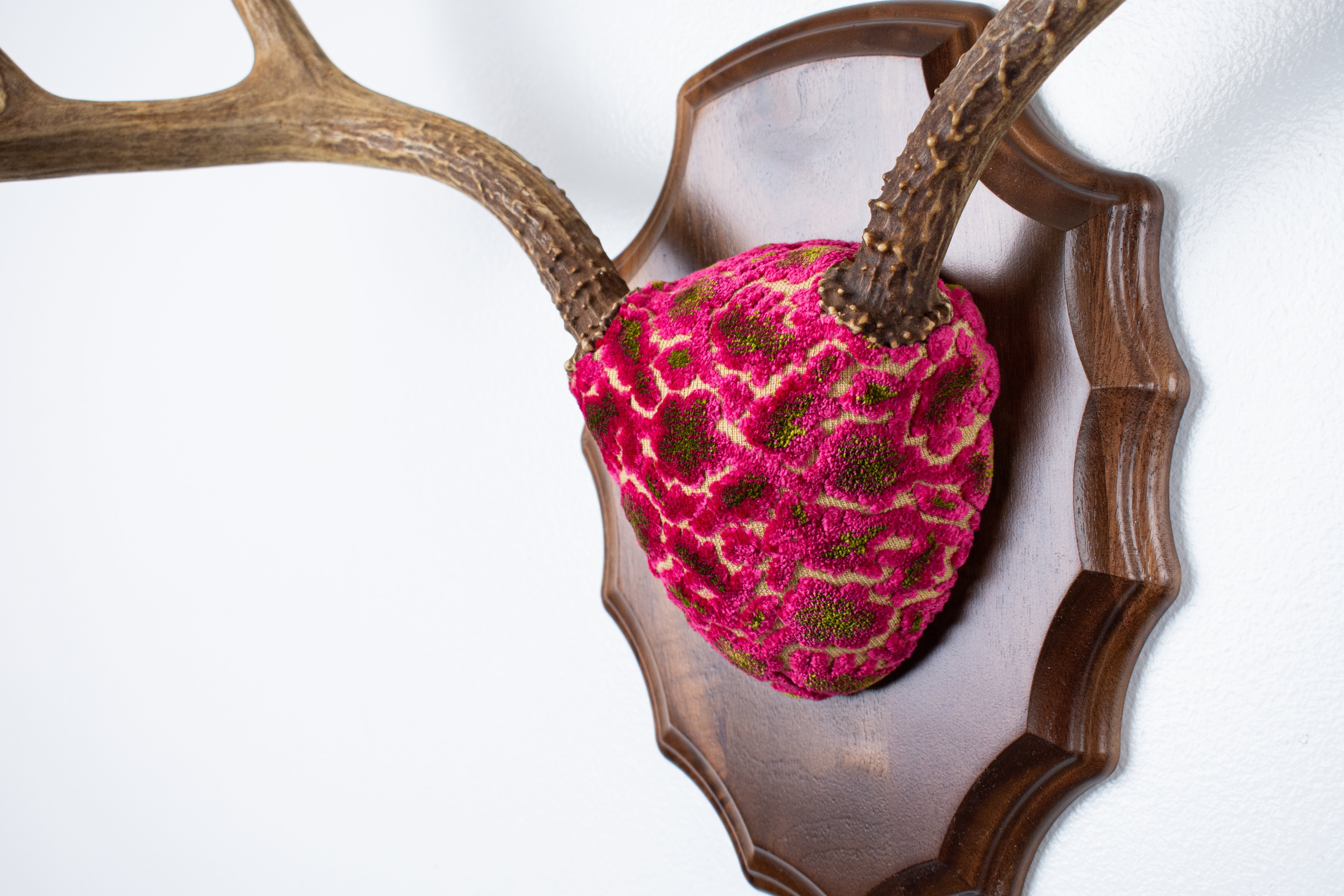 Mule Deer Antler Mount | Magenta & Olive | 05 | SOLD OUT