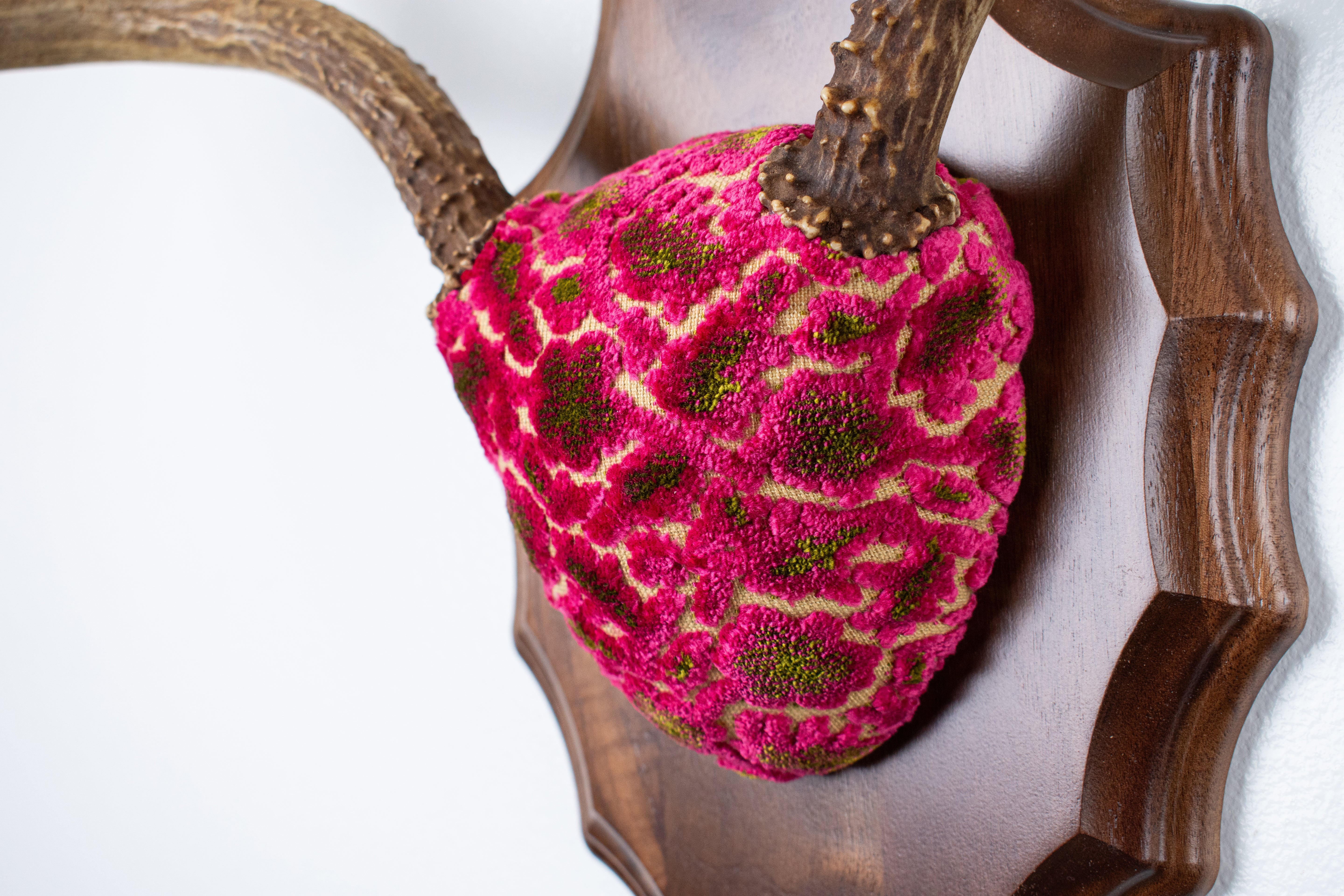 Mule Deer Antler Mount | Magenta & Olive | 05 | SOLD OUT