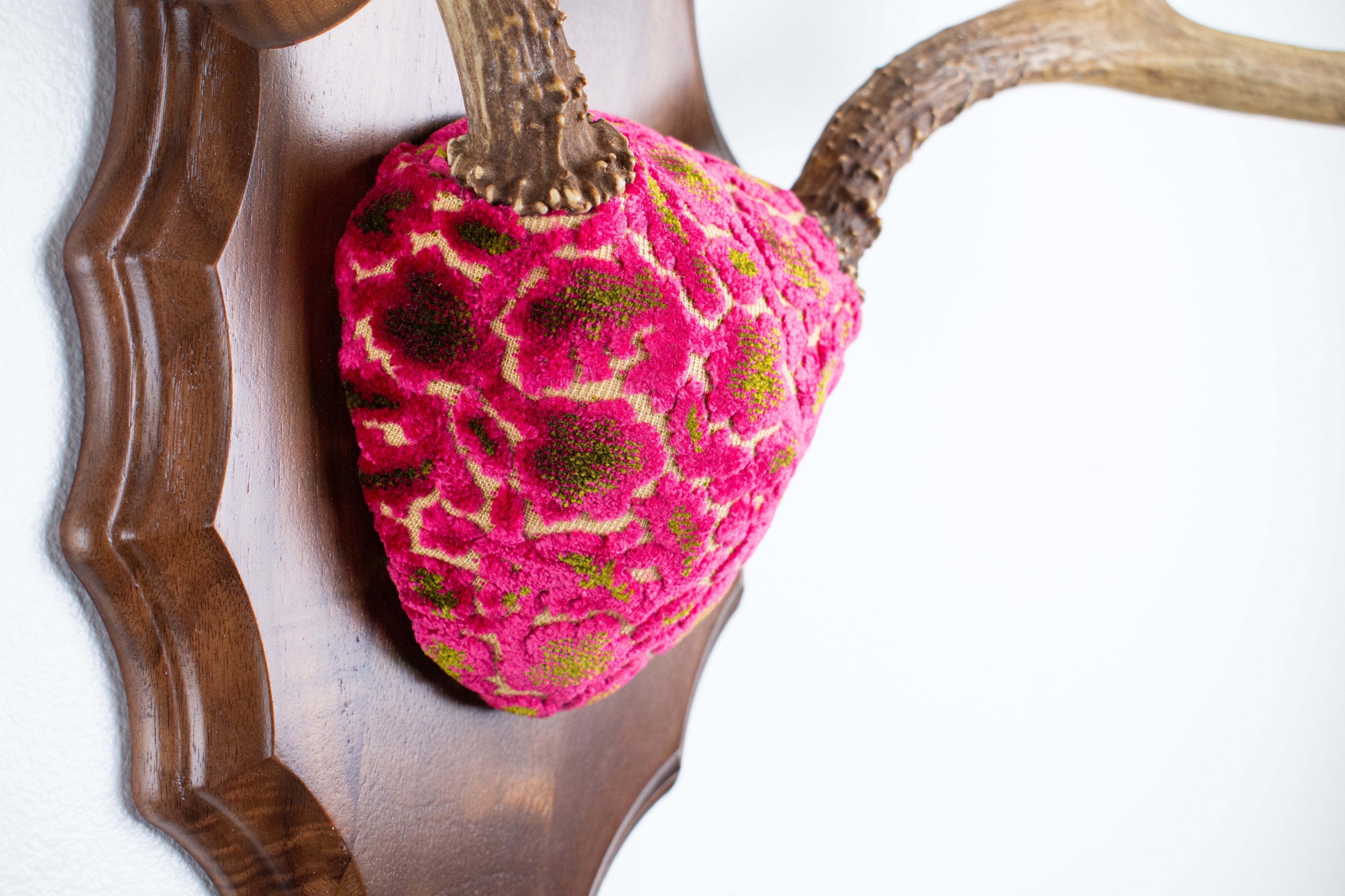 Mule Deer Antler Mount | Magenta & Olive | 05 | SOLD OUT