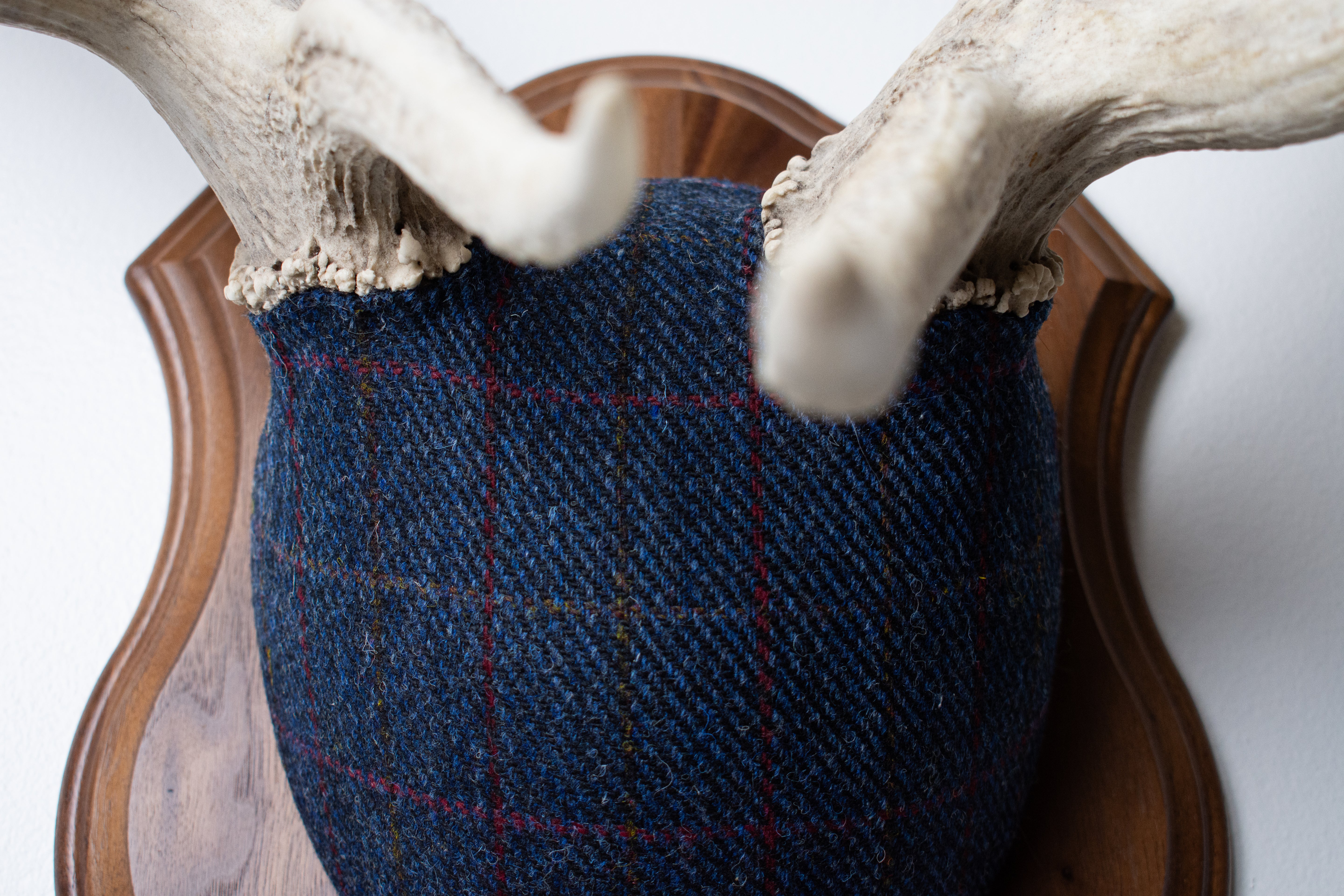 Elk Antler Mount | Blue with Red Overcheck | 15