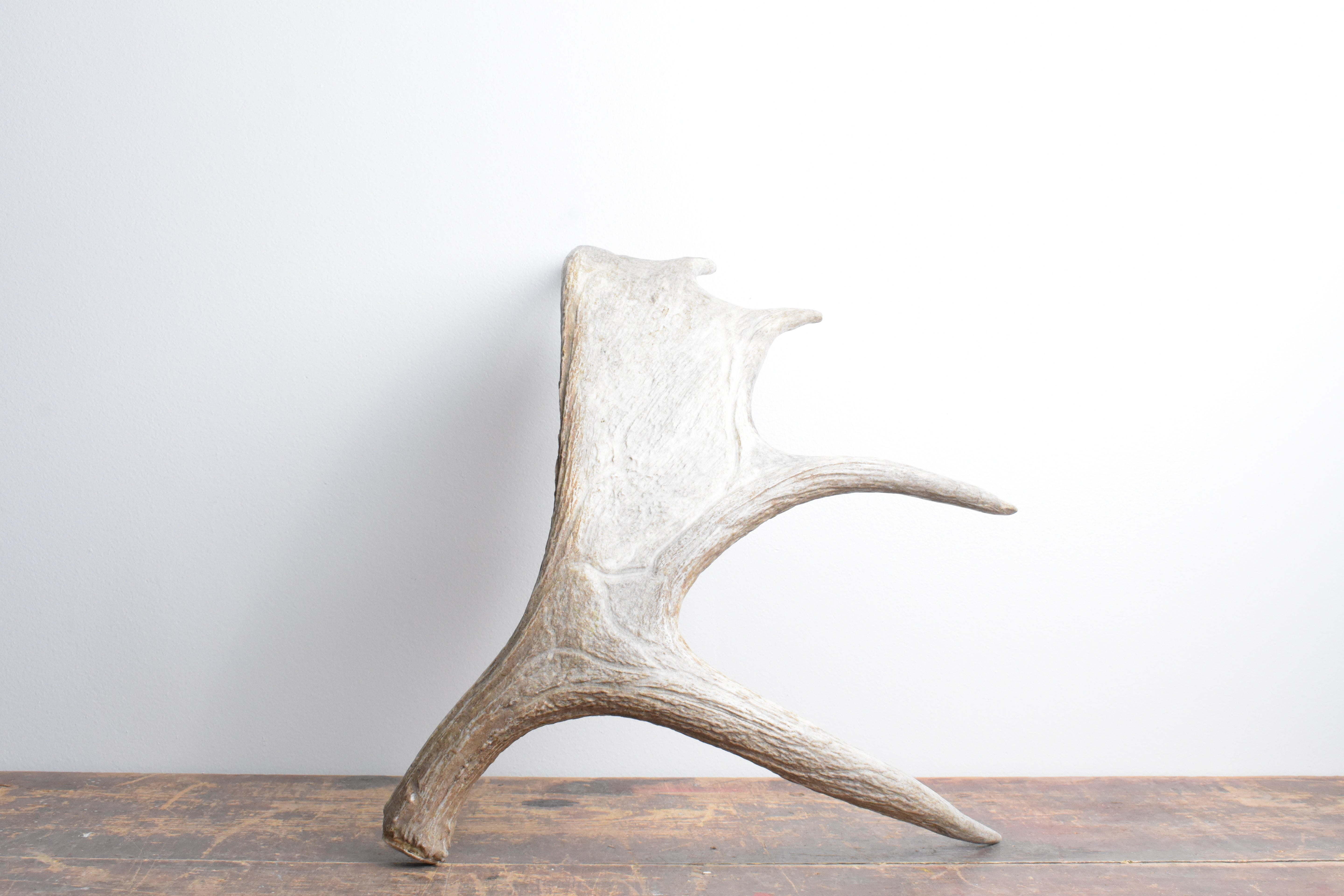 Moose Antler | Small Size | 11