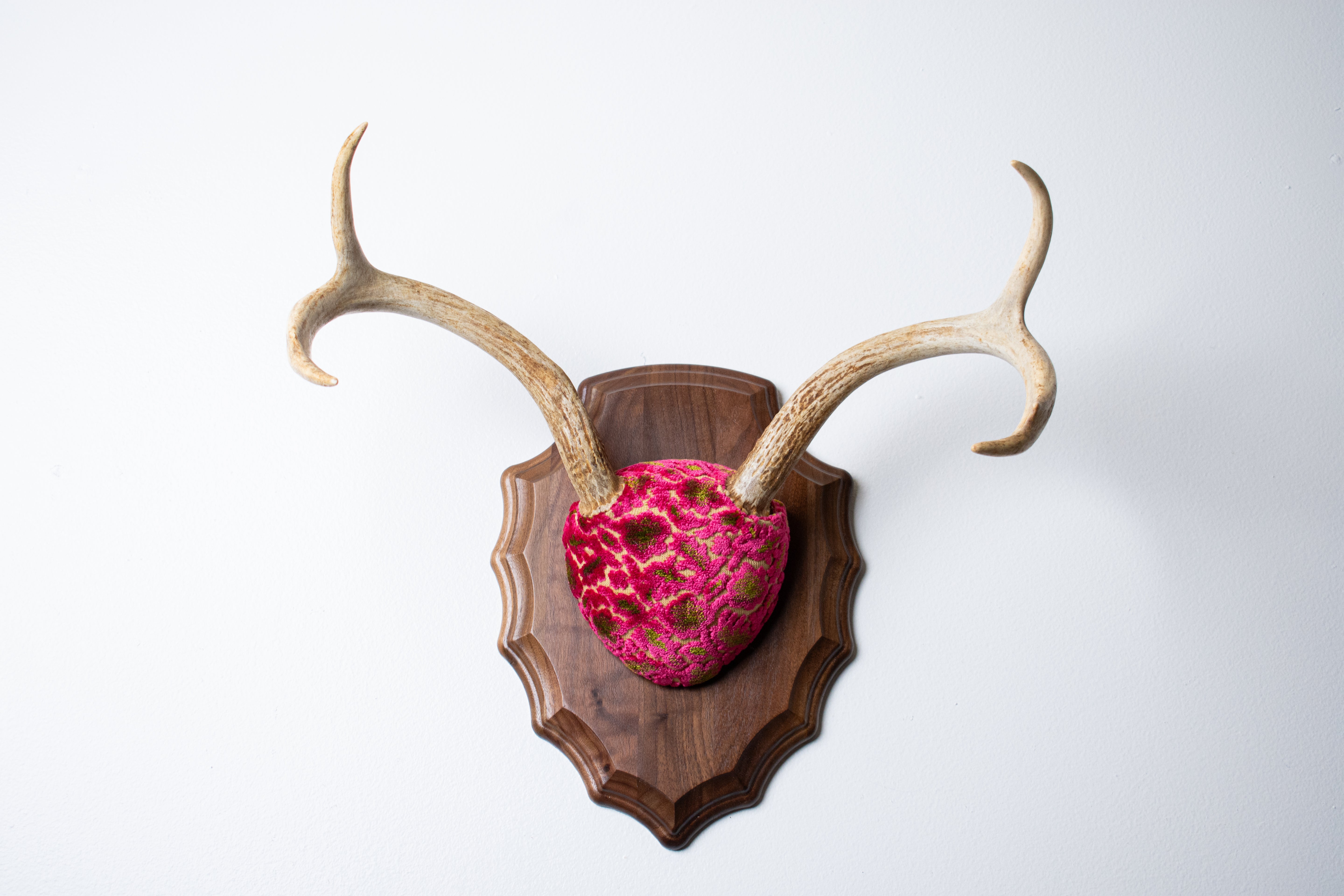 Whitetail Deer Antler Mount | Magenta & Olive | 09