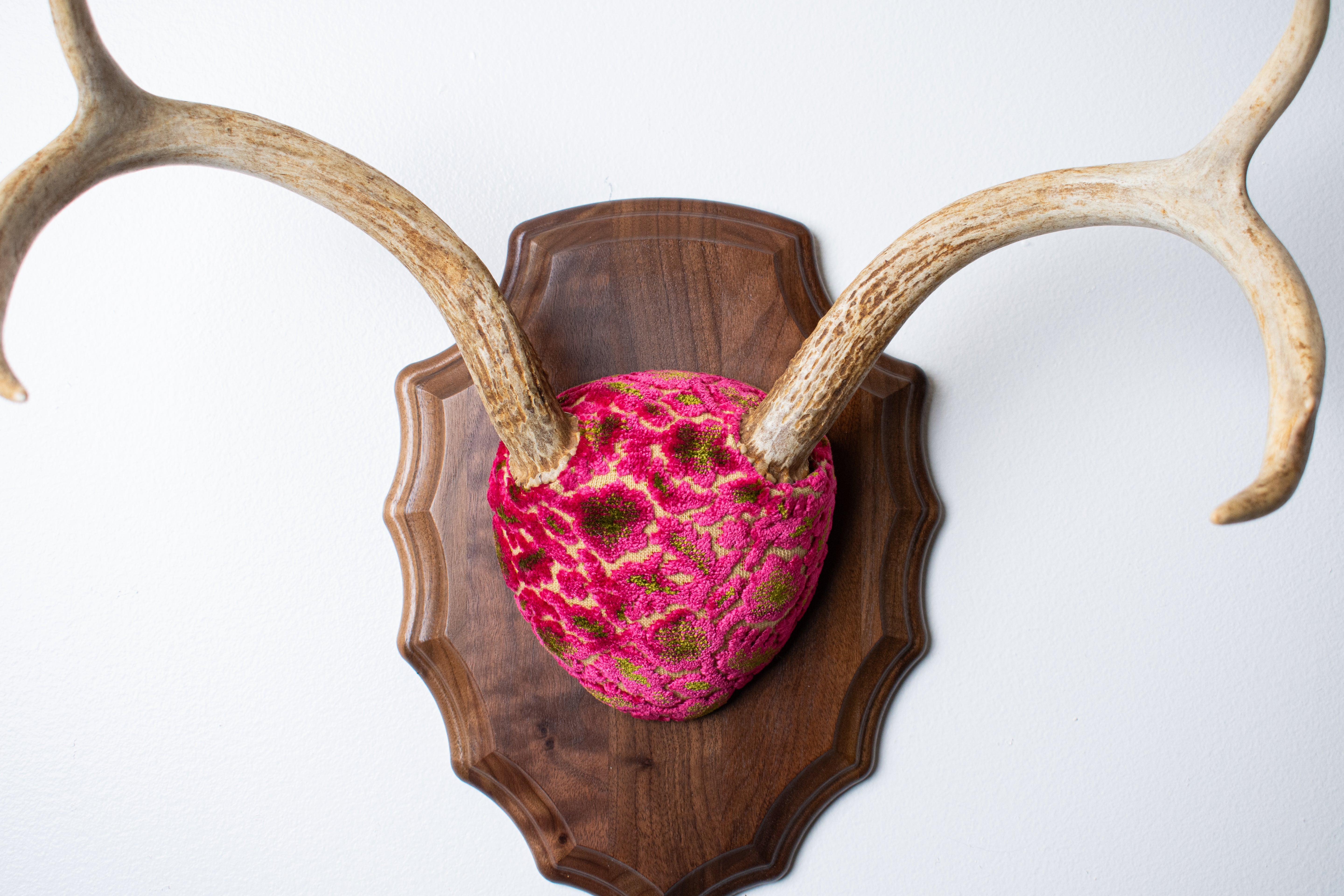 Whitetail Deer Antler Mount | Magenta & Olive | 09