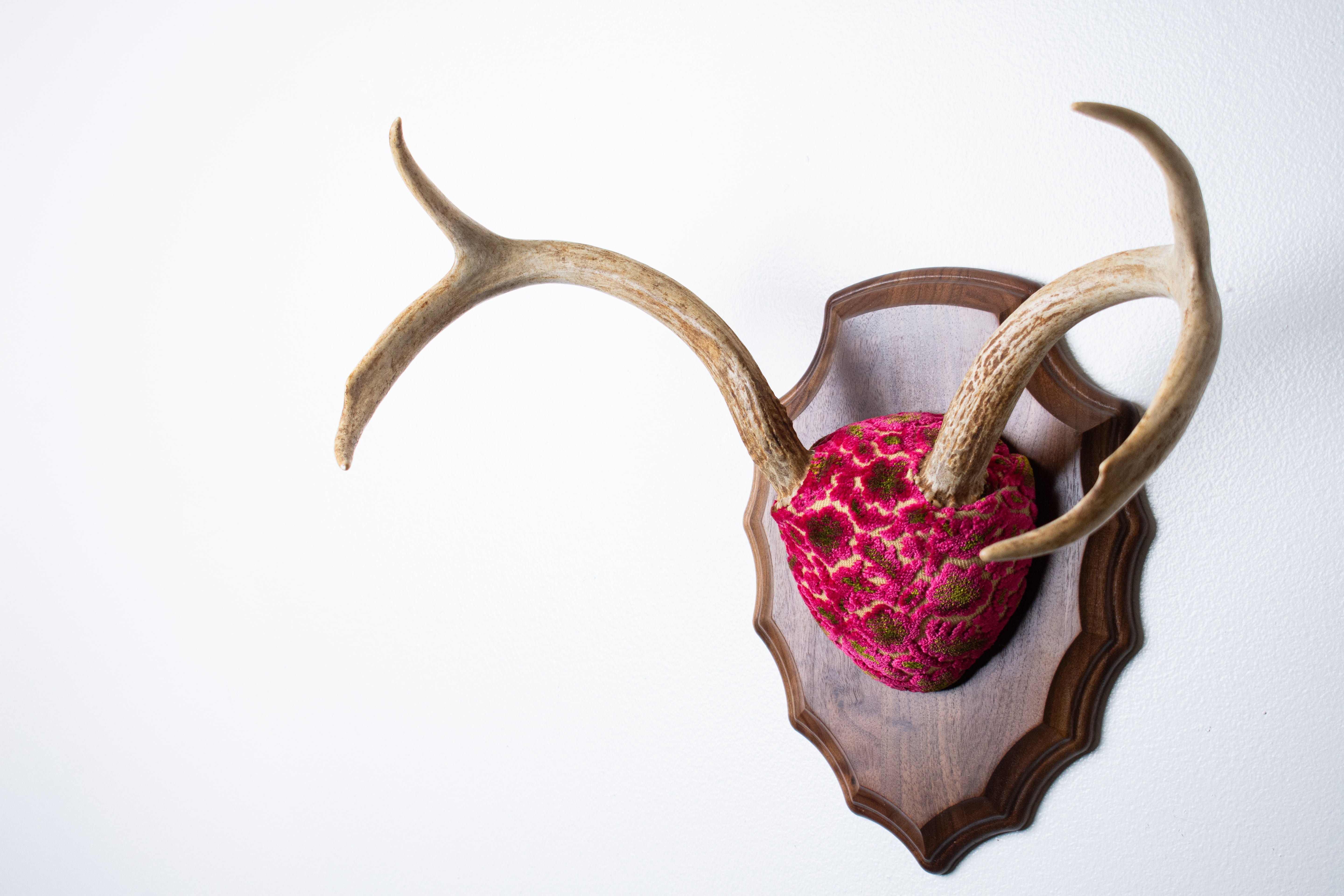 Whitetail Deer Antler Mount | Magenta & Olive | 09