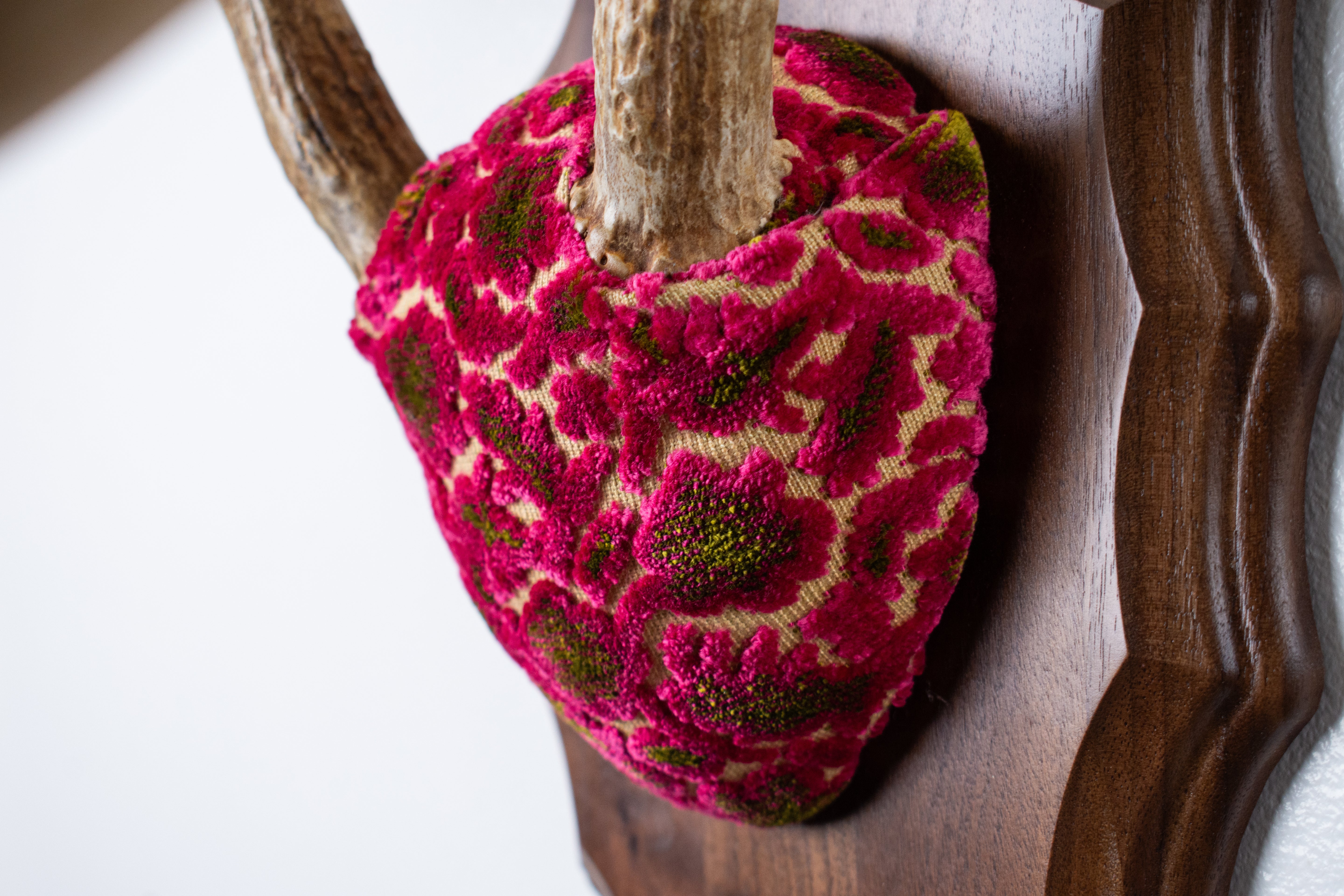 Whitetail Deer Antler Mount | Magenta & Olive | 09