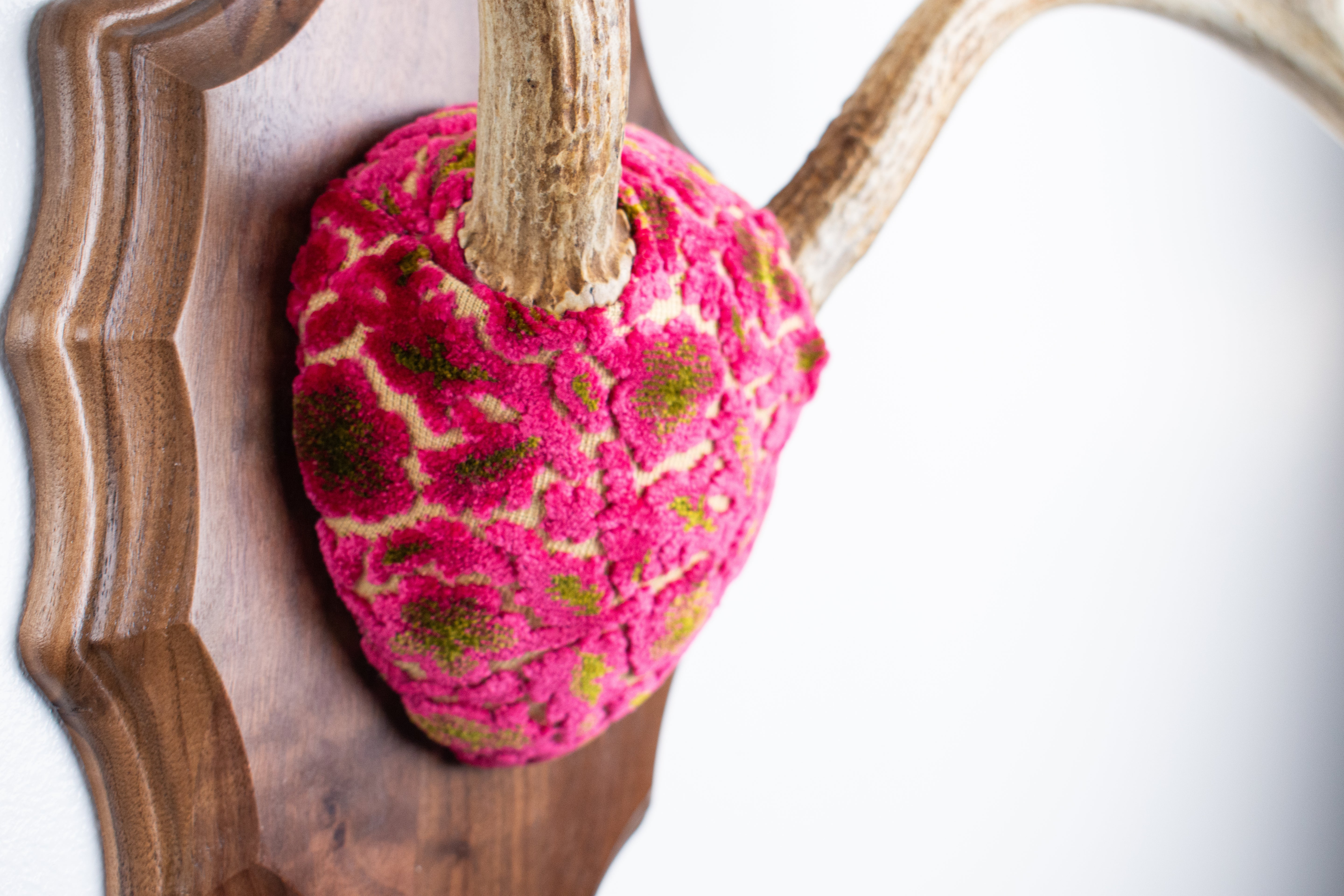 Whitetail Deer Antler Mount | Magenta & Olive | 09