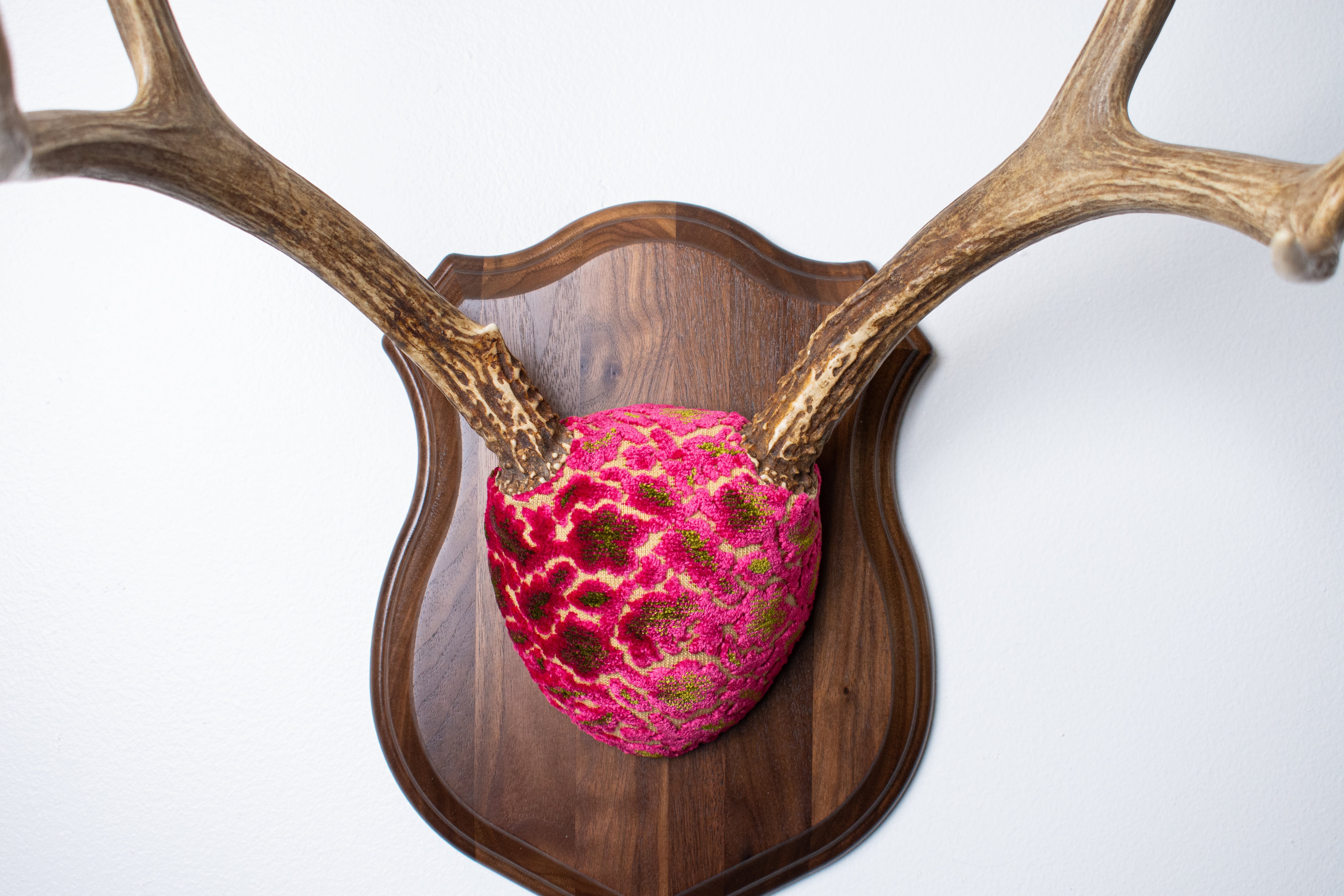 Mule Deer Antler Mount | Magenta & Olive | 10