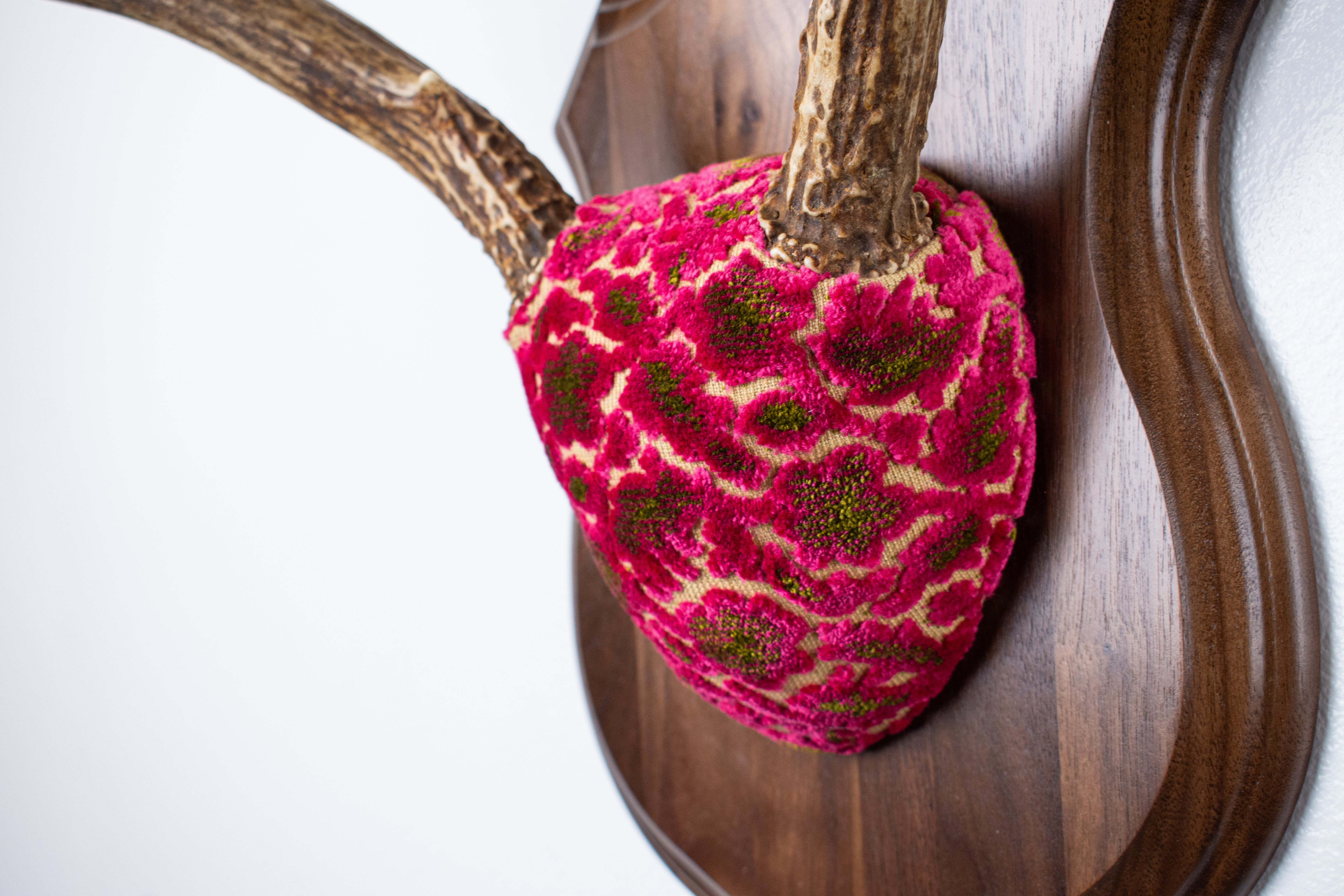 Mule Deer Antler Mount | Magenta & Olive | 10