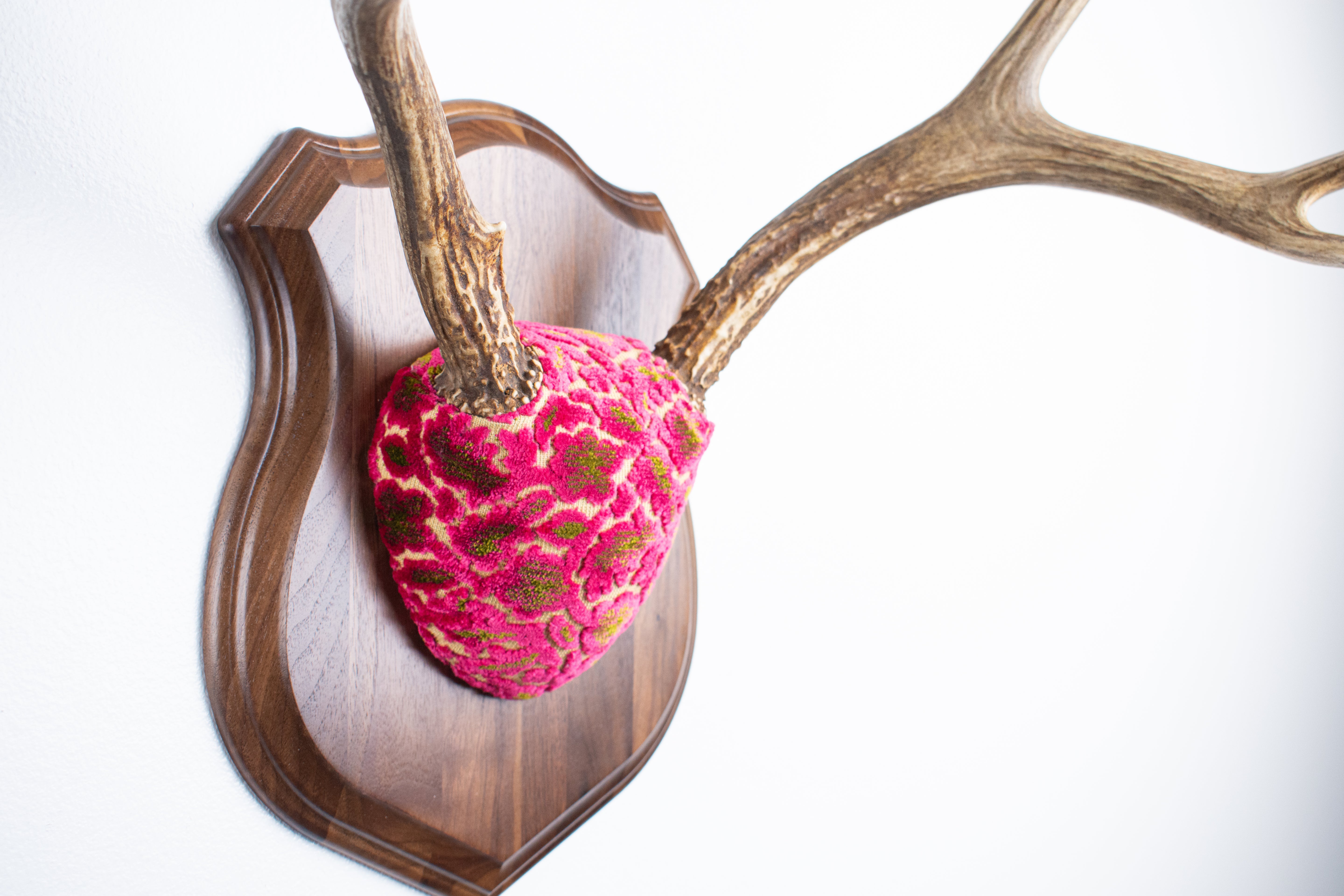 Mule Deer Antler Mount | Magenta & Olive | 10