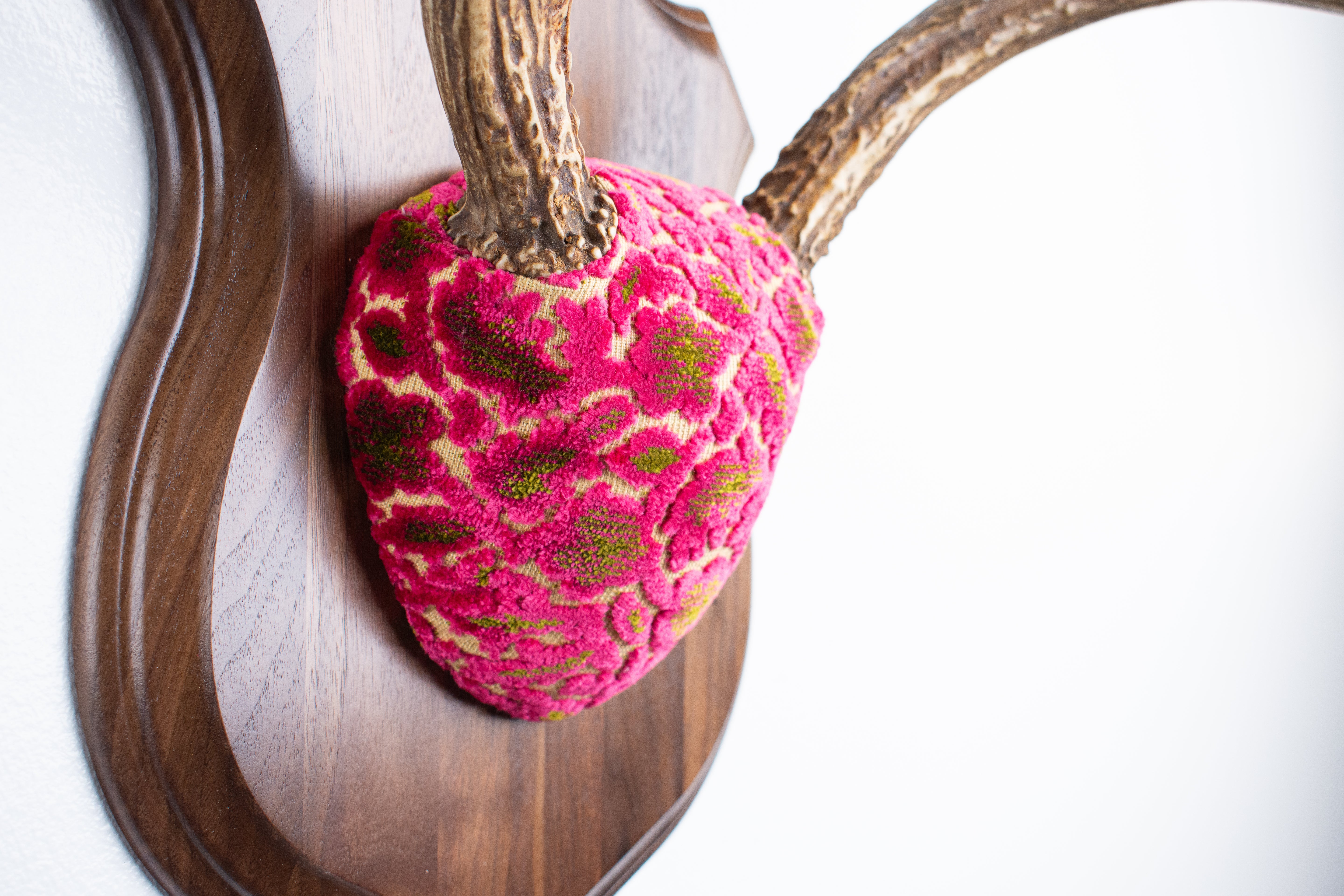 Mule Deer Antler Mount | Magenta & Olive | 10