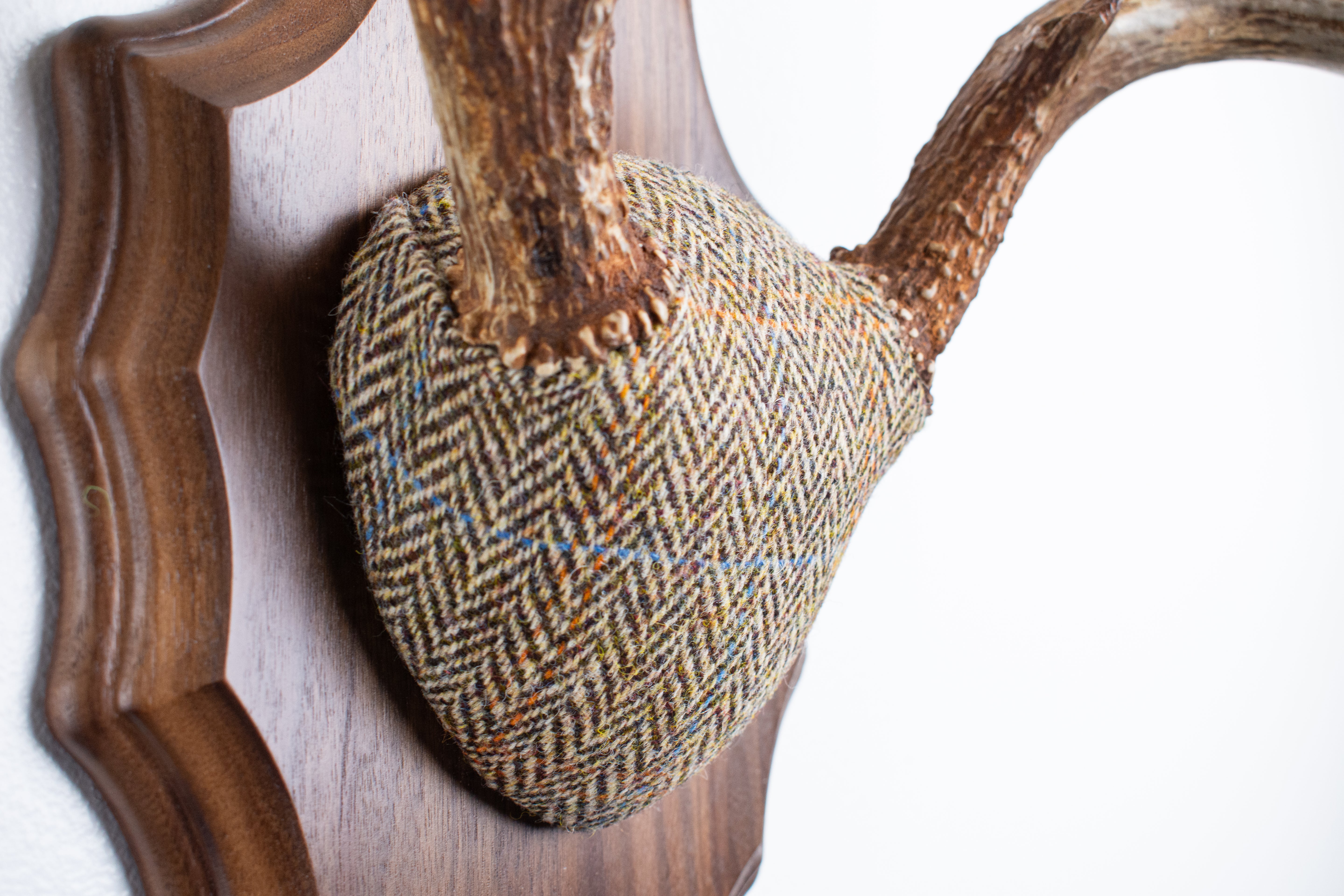 Whitetail Antler Mount | Brown Herringbone | 20