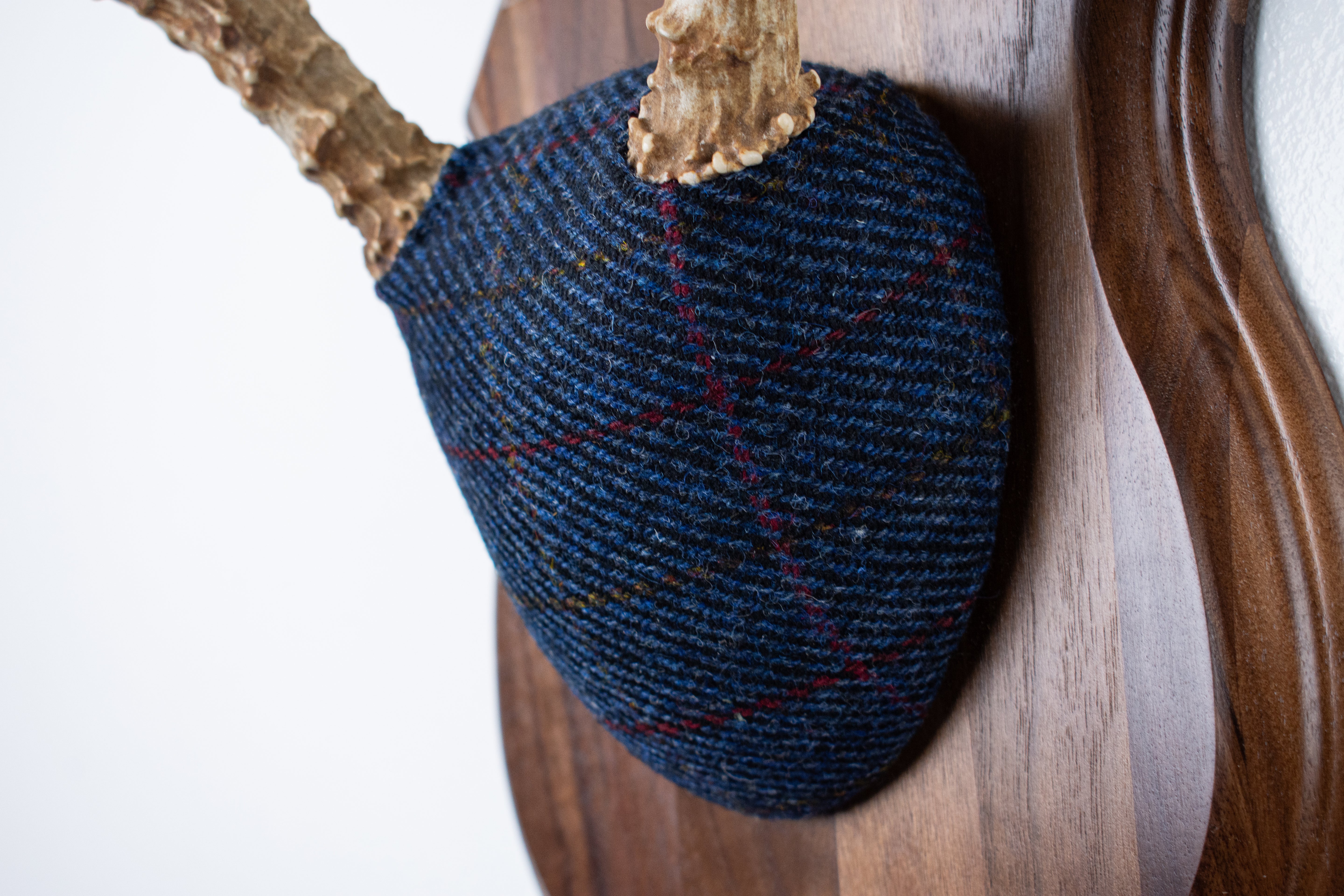 Mule Deer Antler Mount | Blue with Red Overcheck | 21