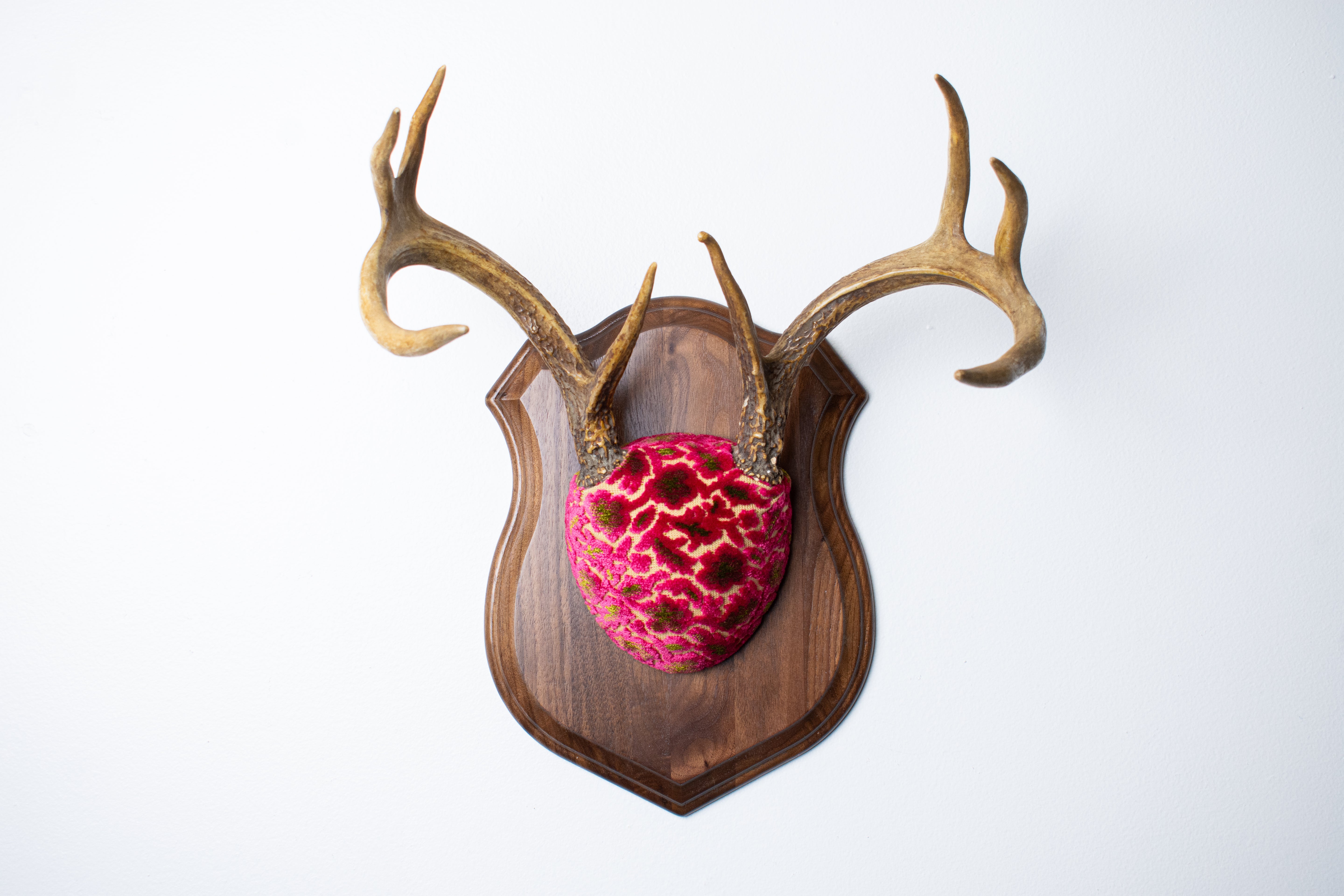 Decorative wall mount with deer antlers and a pink textured ball on a white background