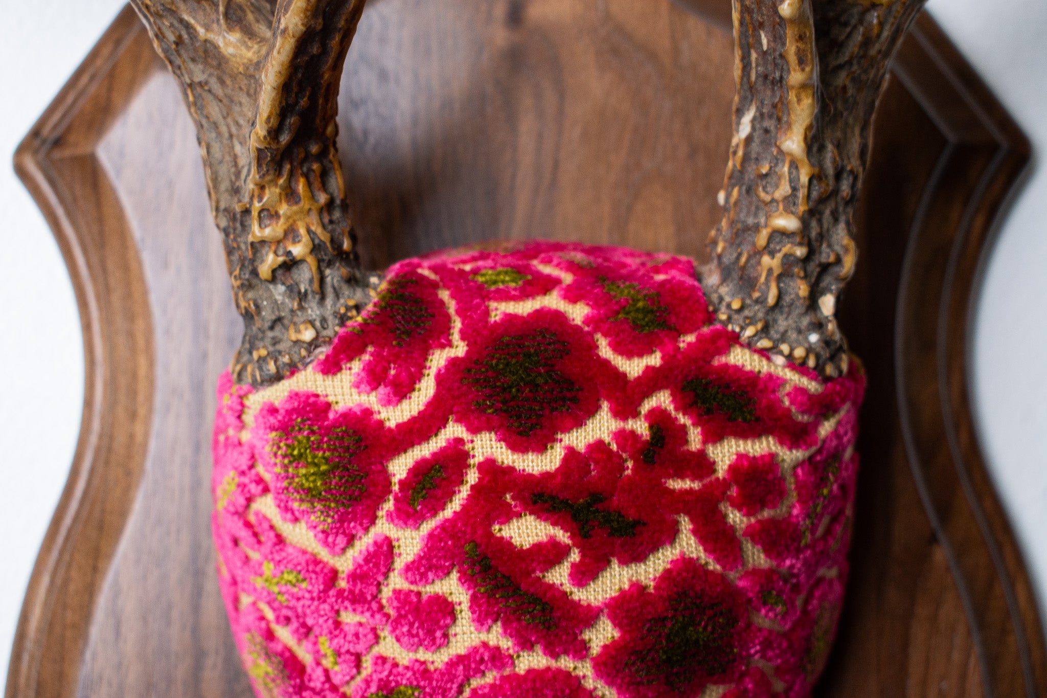 Whitetail Deer Antler Mount | Magenta & Olive | 08