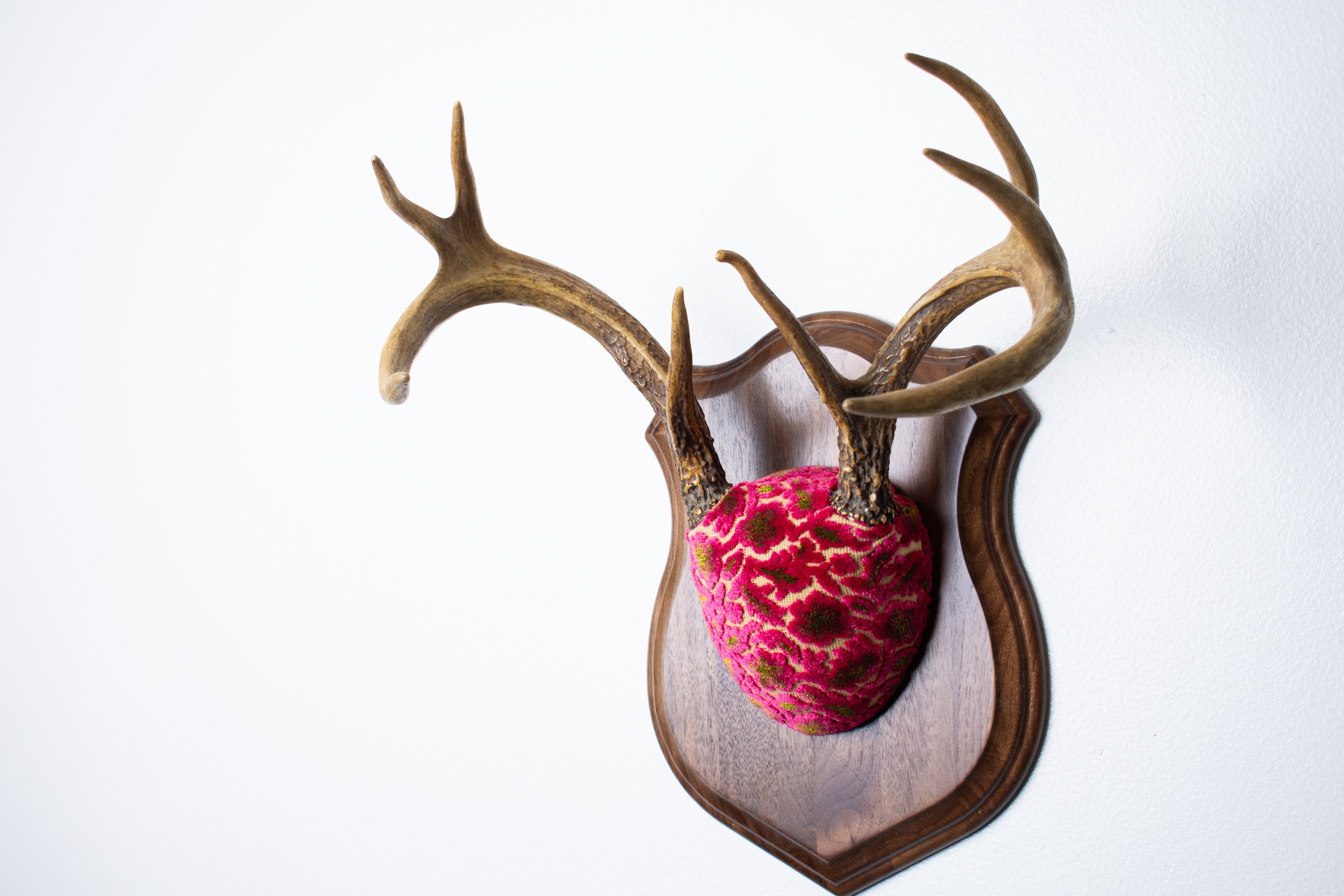 Whitetail Deer Antler Mount | Magenta & Olive | 08