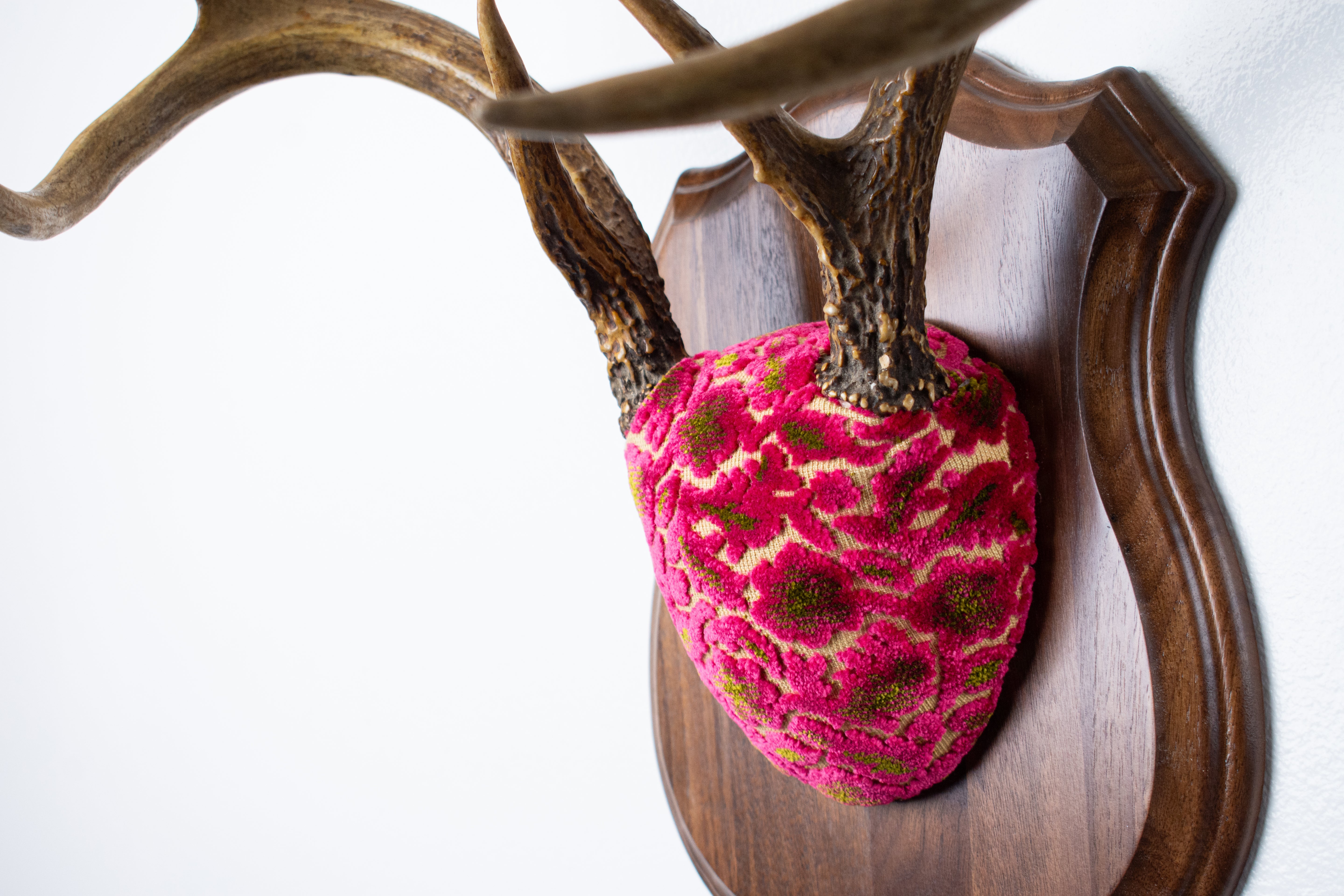 Whitetail Deer Antler Mount | Magenta & Olive | 08