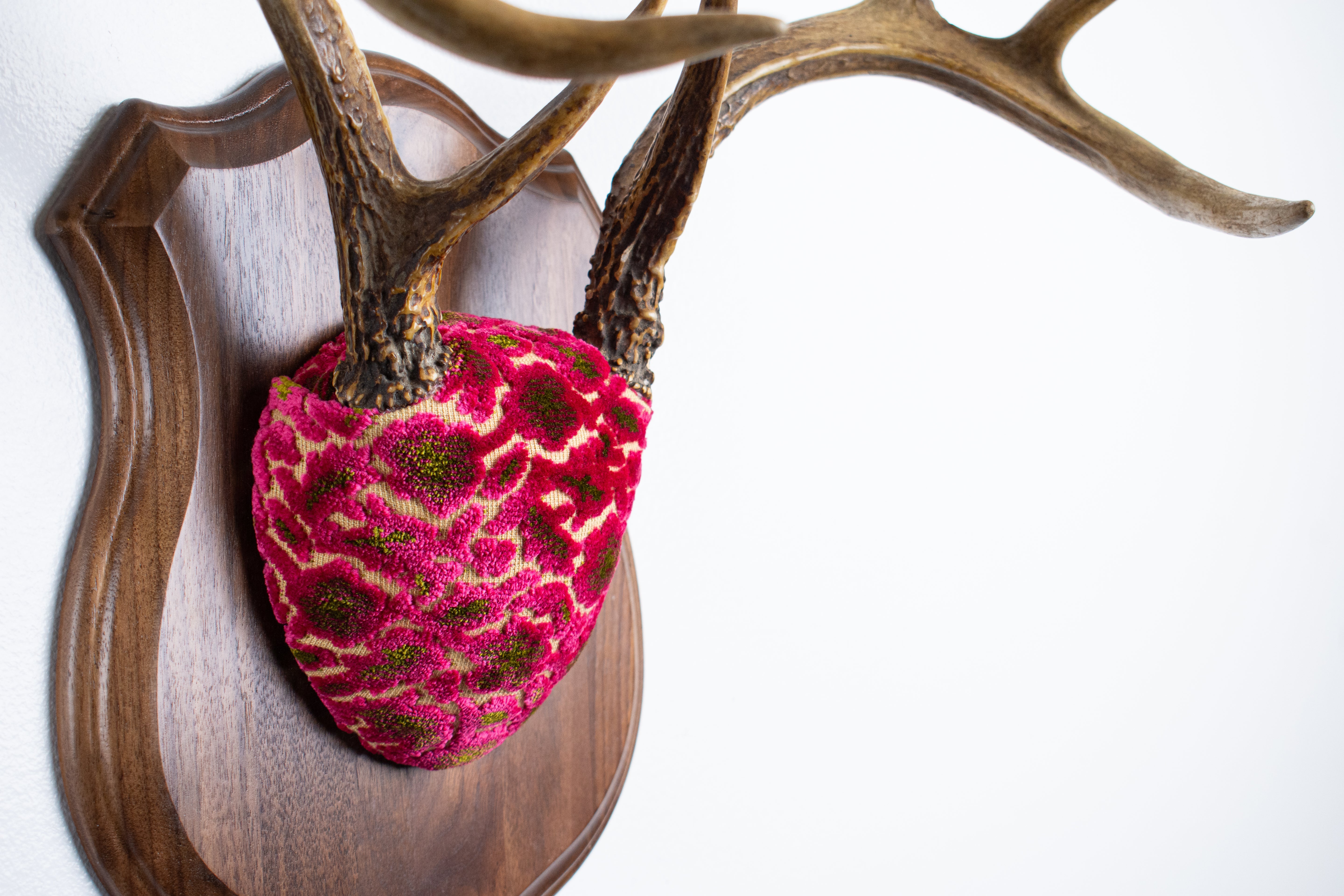 Whitetail Deer Antler Mount | Magenta & Olive | 08