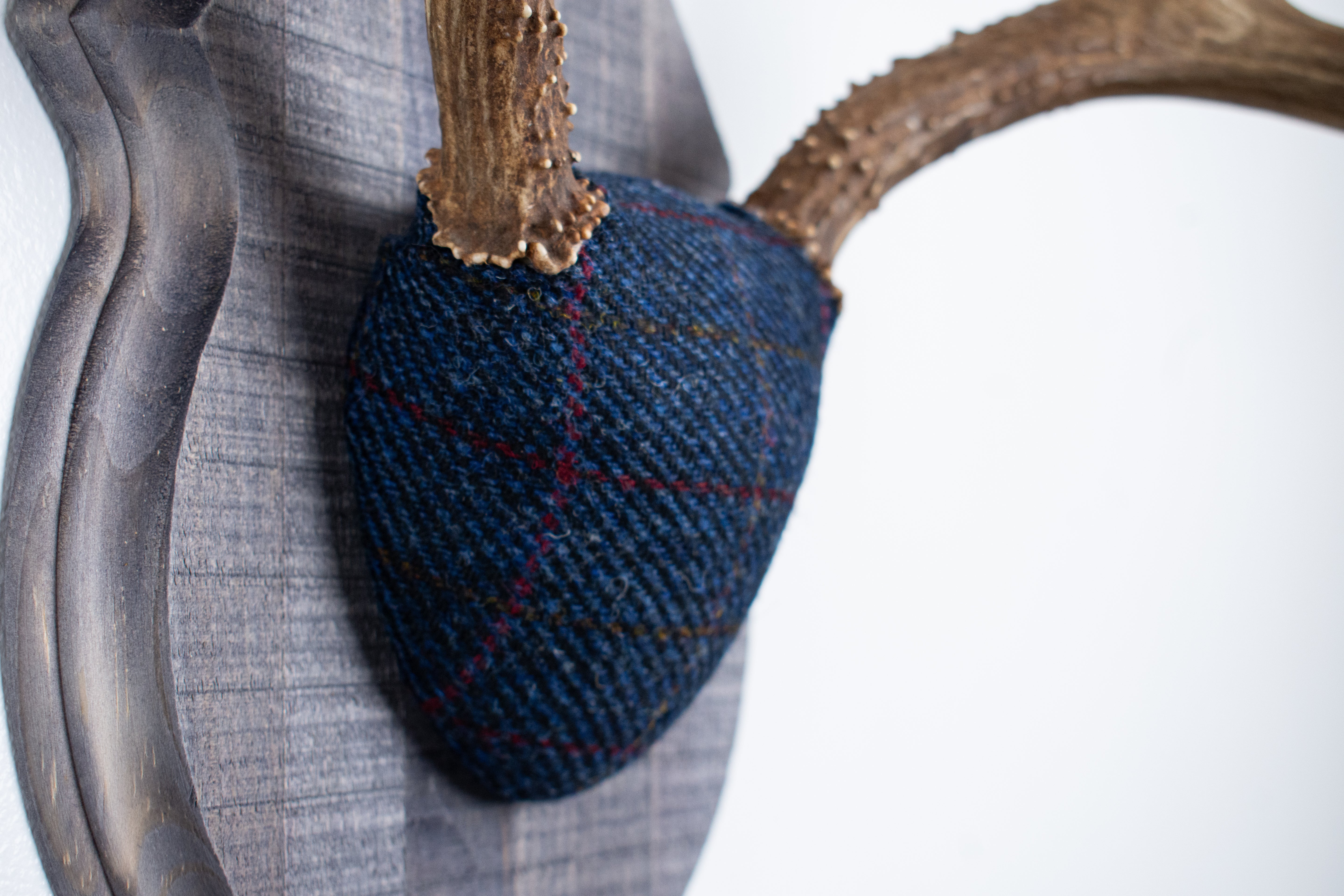 Mule Deer Antler Mount | Blue with Red Overcheck | 27