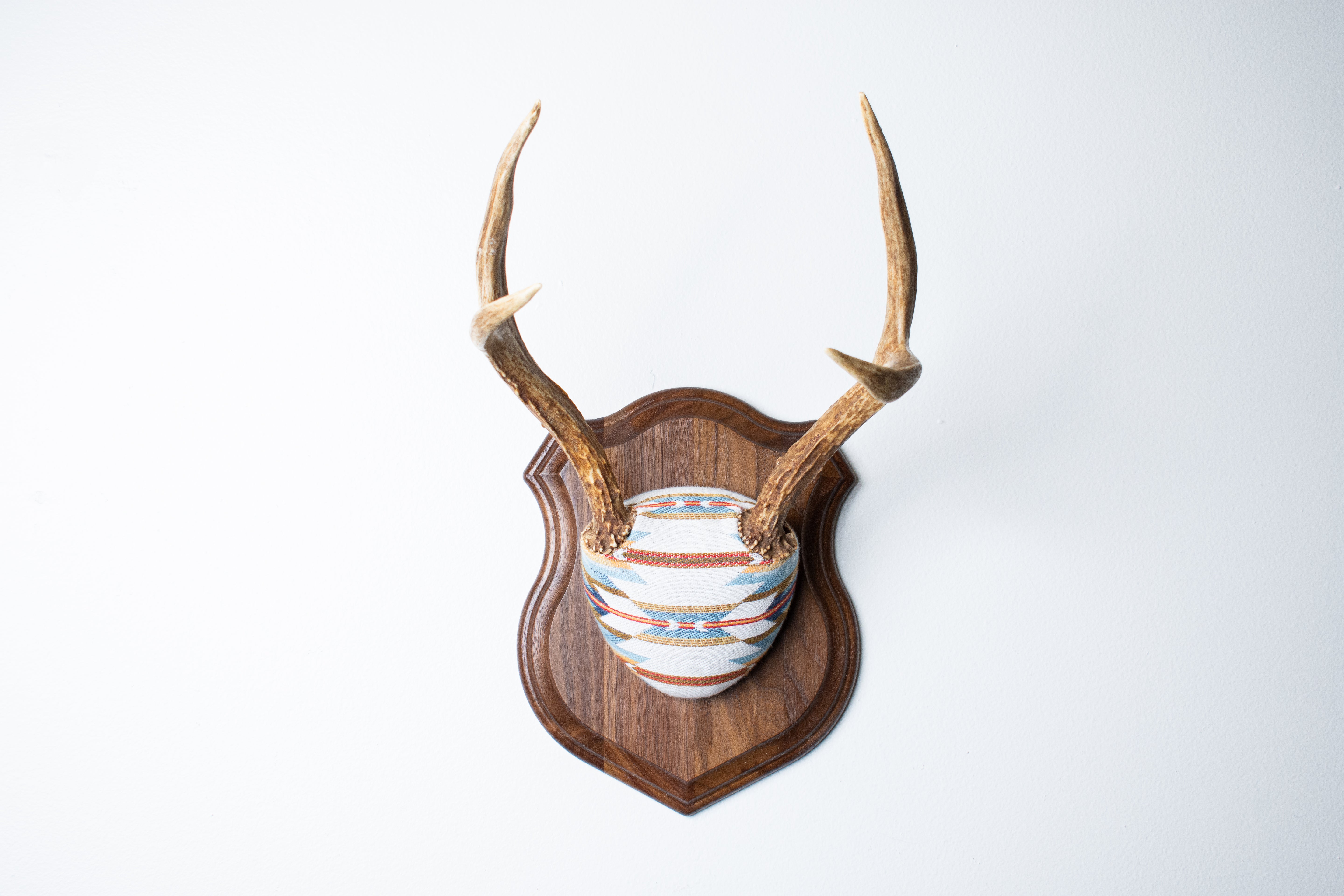 Mule Deer Antler Mount | Sunset | 05