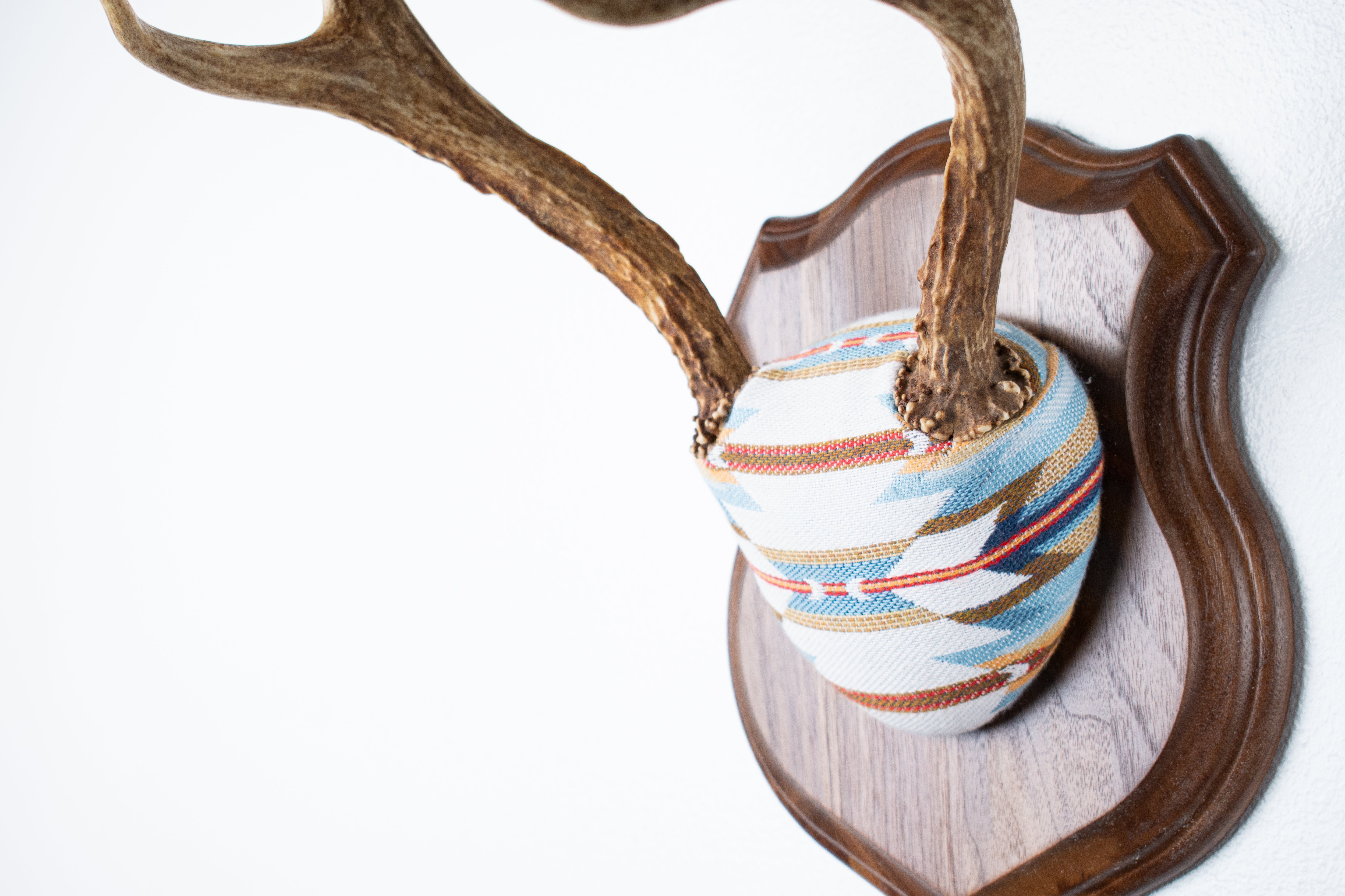 Mule Deer Antler Mount | Sunset | 05