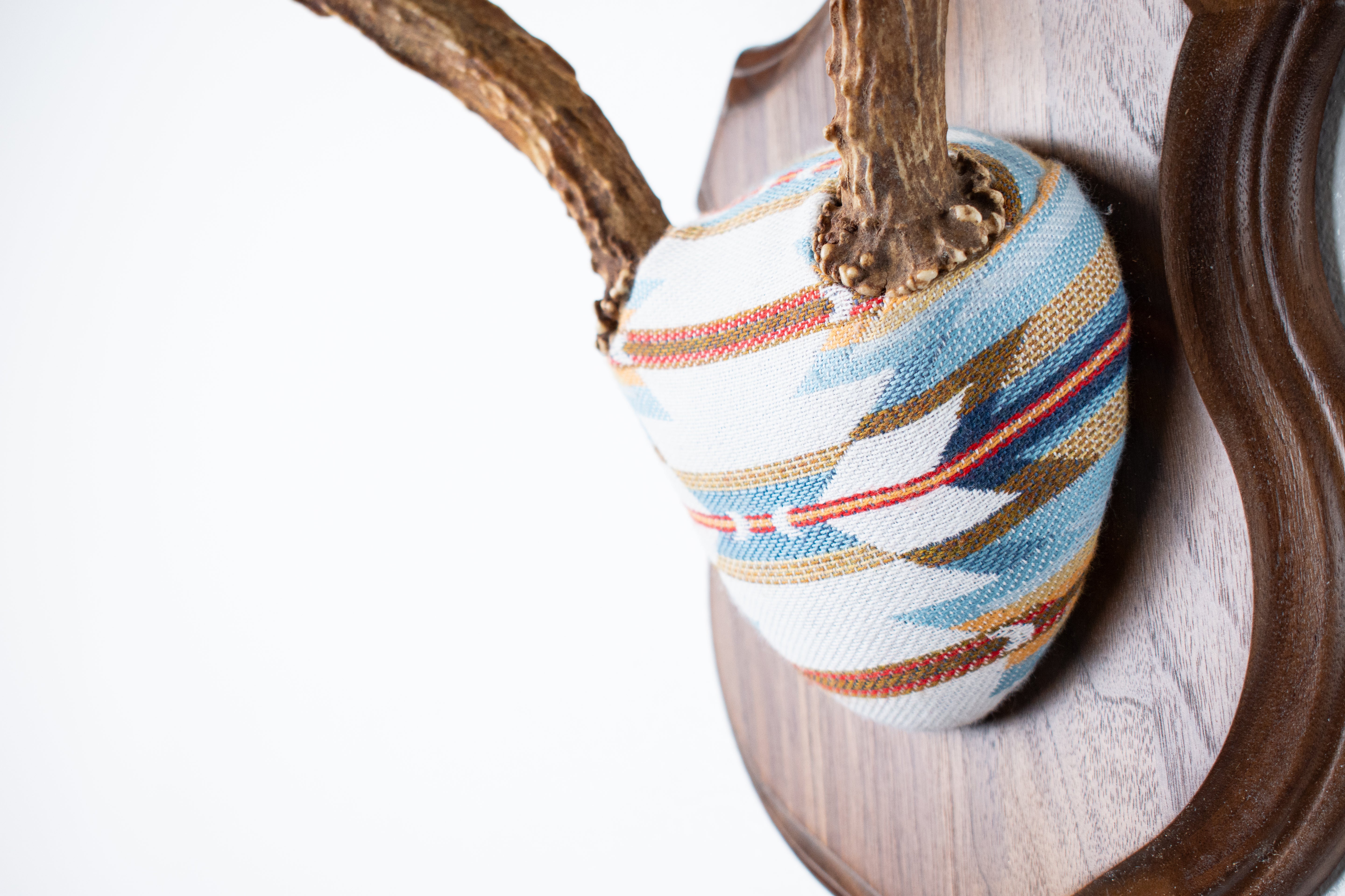 Mule Deer Antler Mount | Sunset | 05