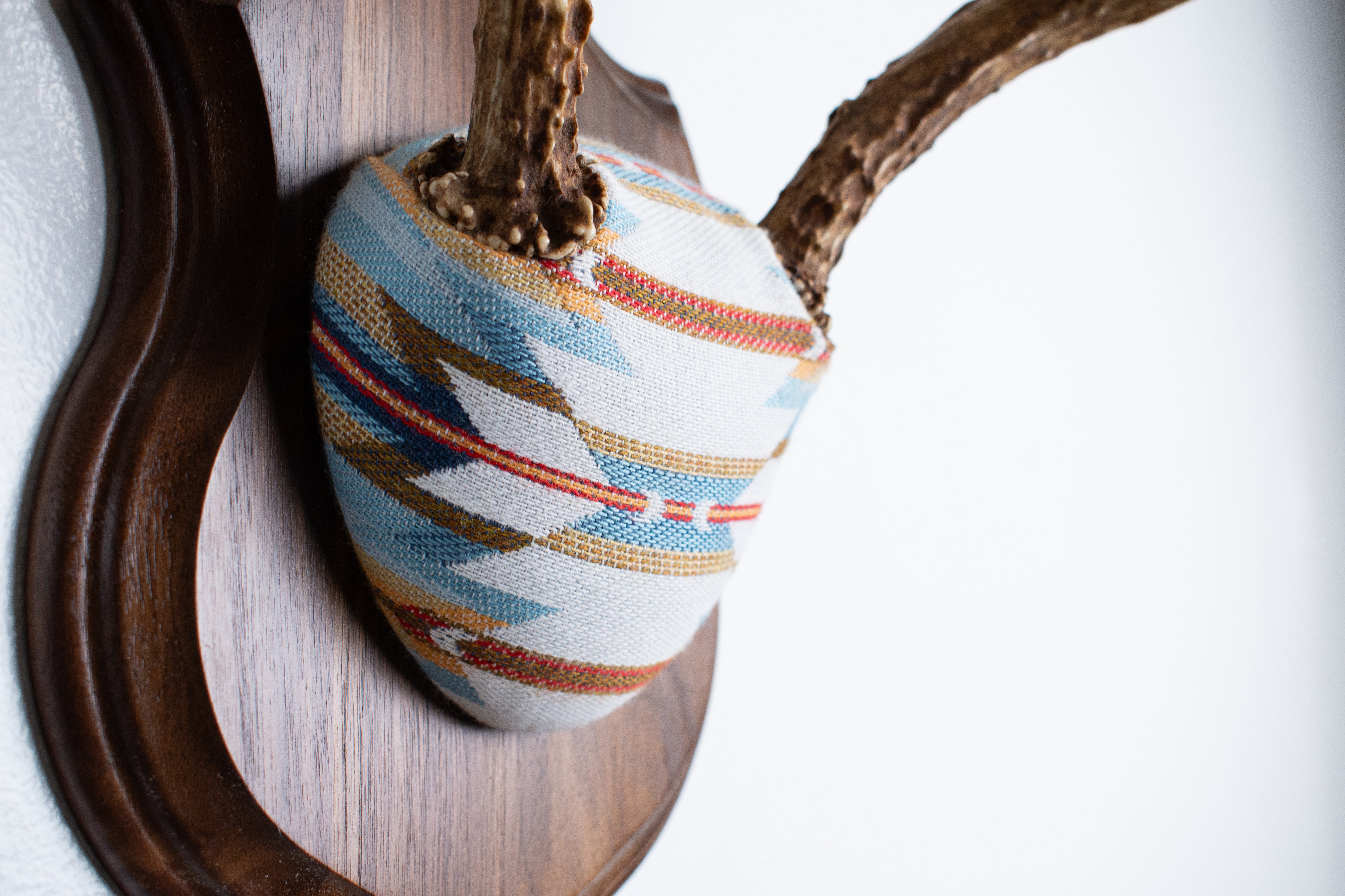 Mule Deer Antler Mount | Sunset | 05