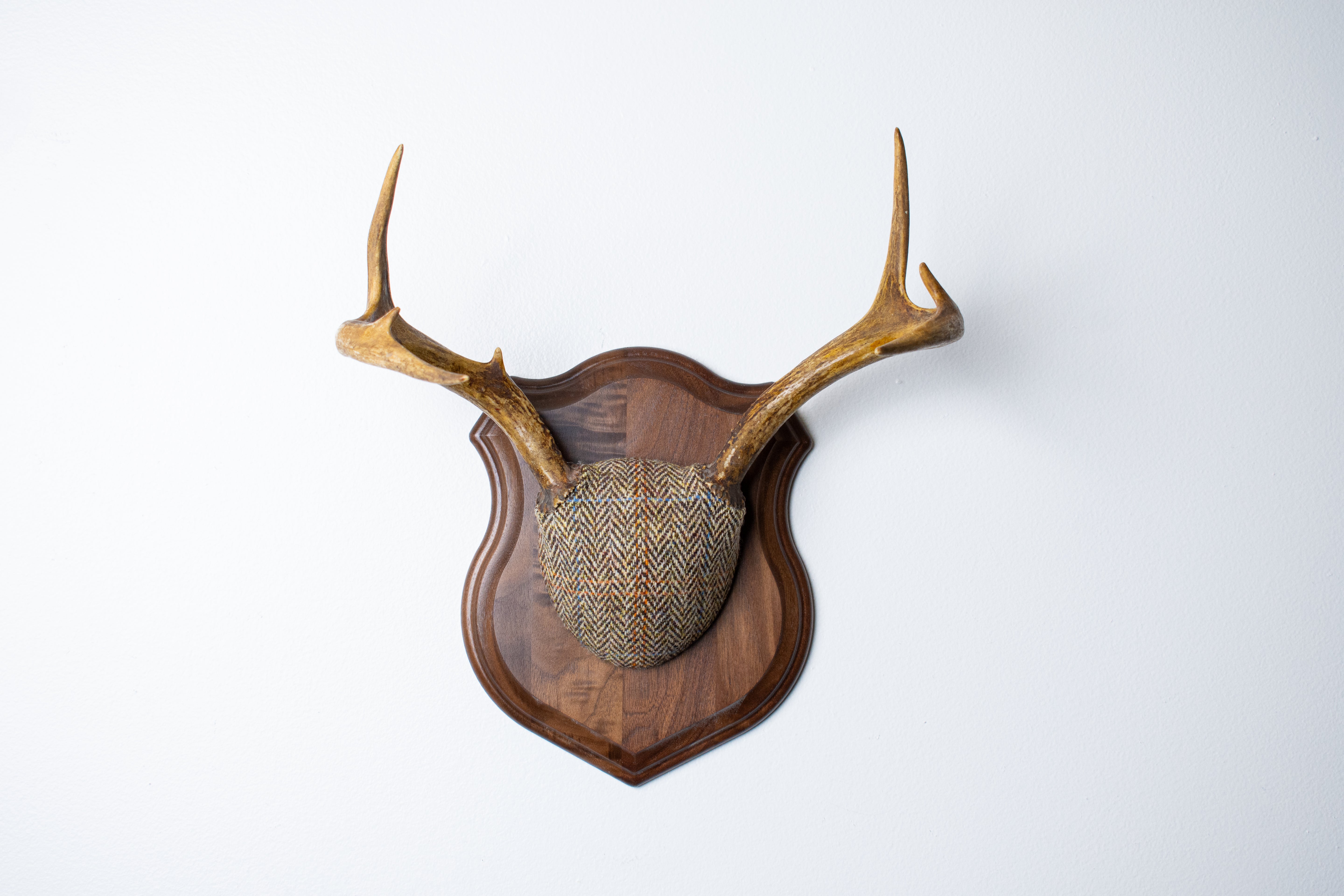 Whitetail Deer Antler Mount | Brown Herringbone | 26