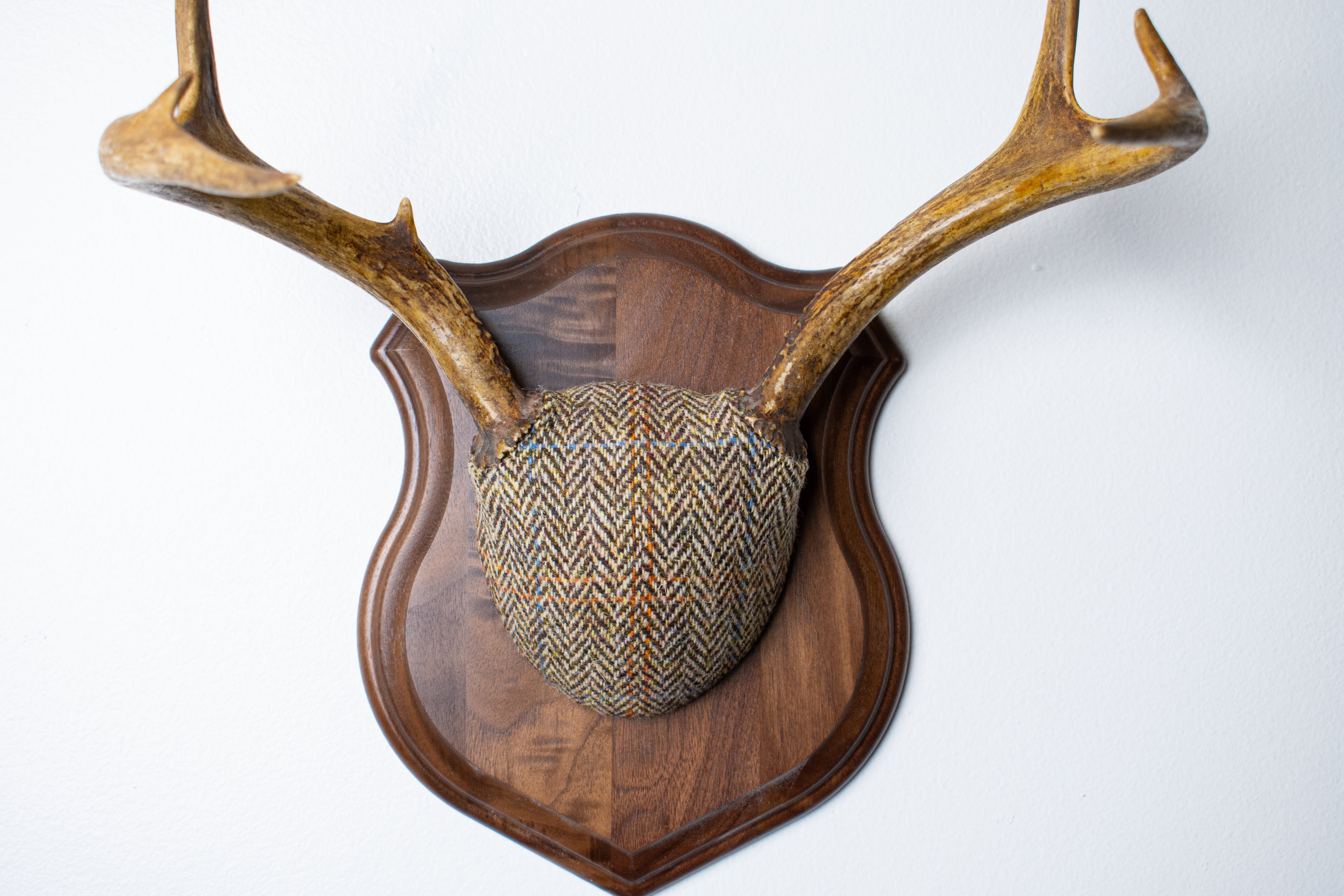 Whitetail Deer Antler Mount | Brown Herringbone | 26