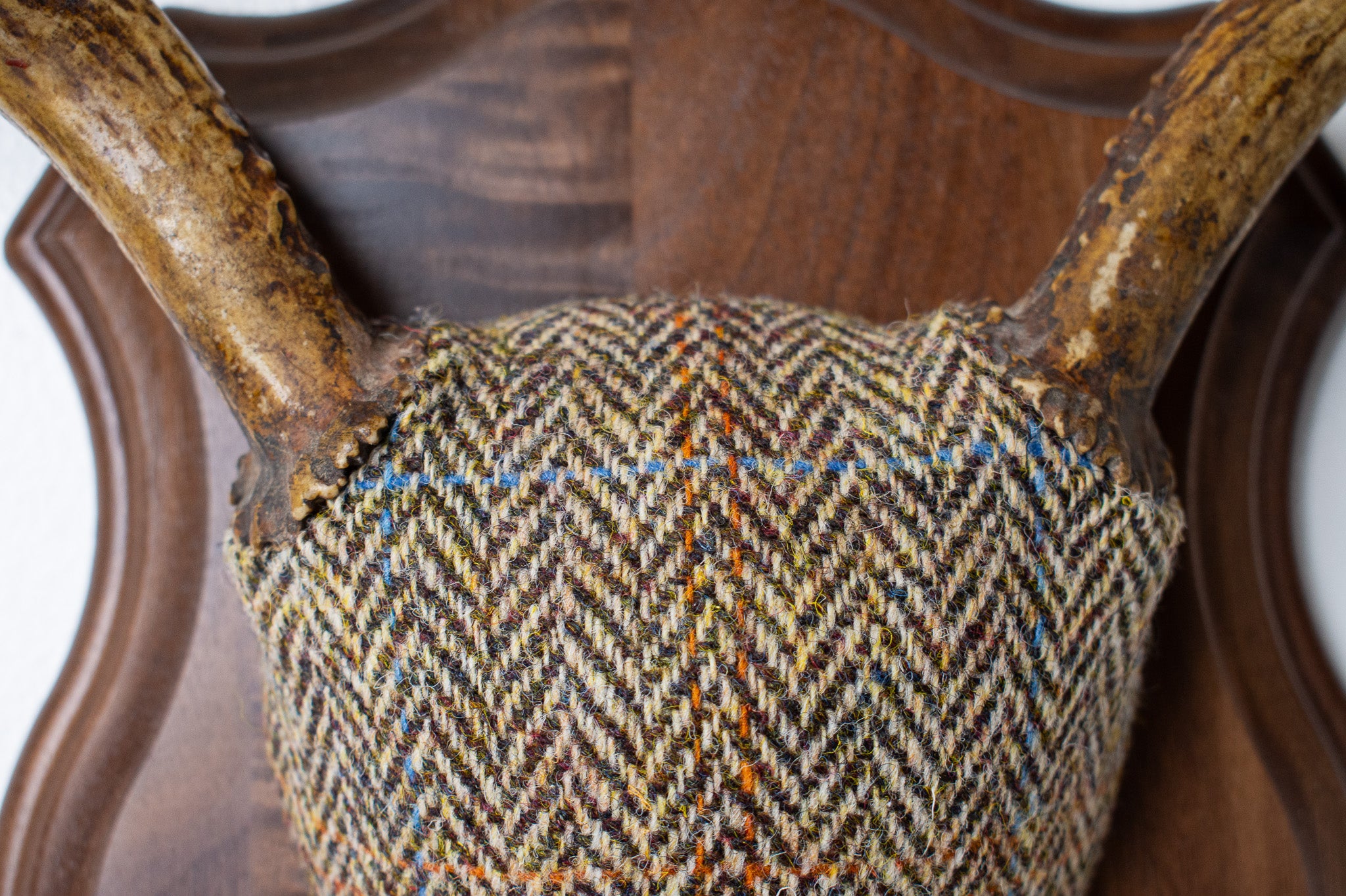 Whitetail Deer Antler Mount | Brown Herringbone | 26