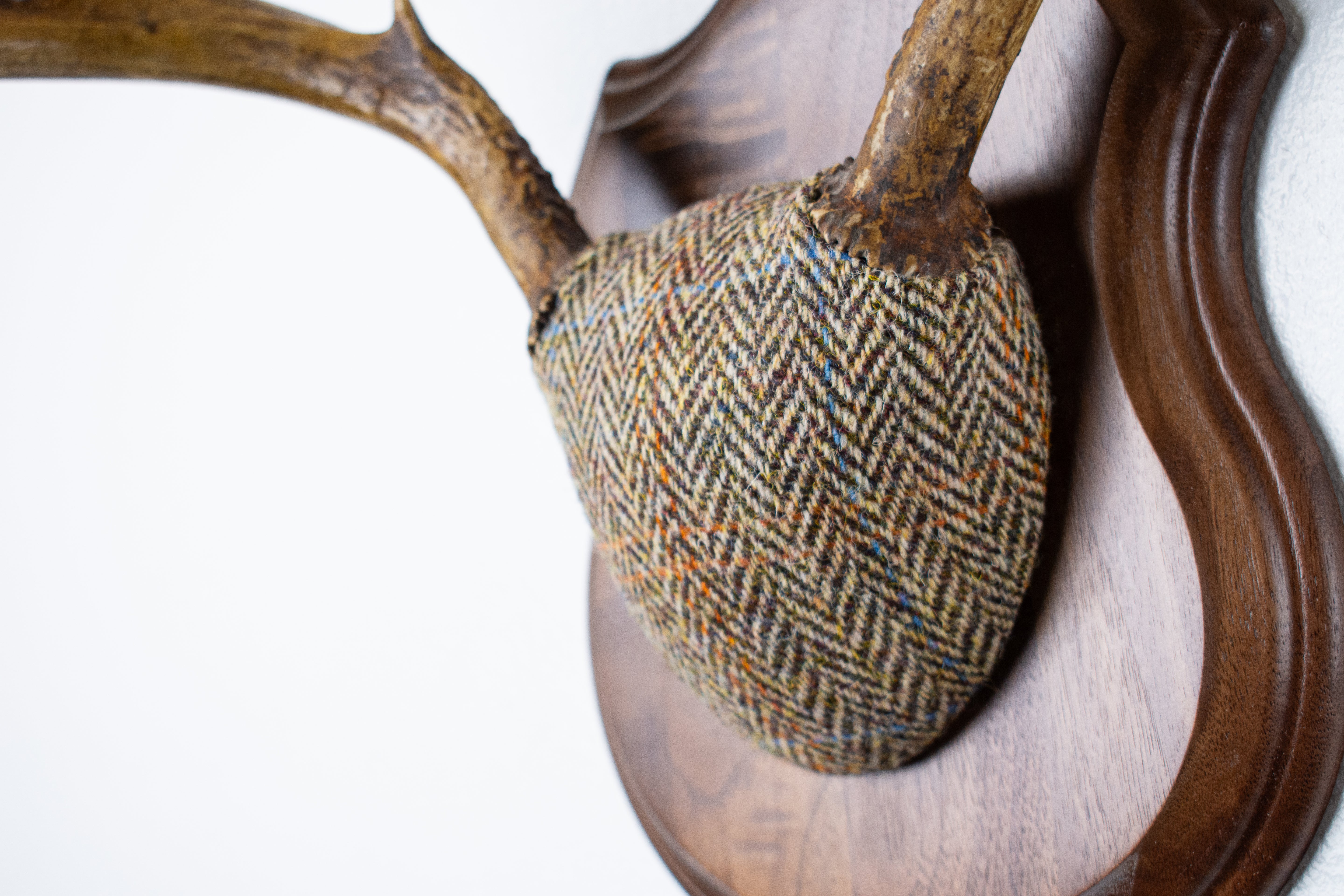 Whitetail Deer Antler Mount | Brown Herringbone | 26