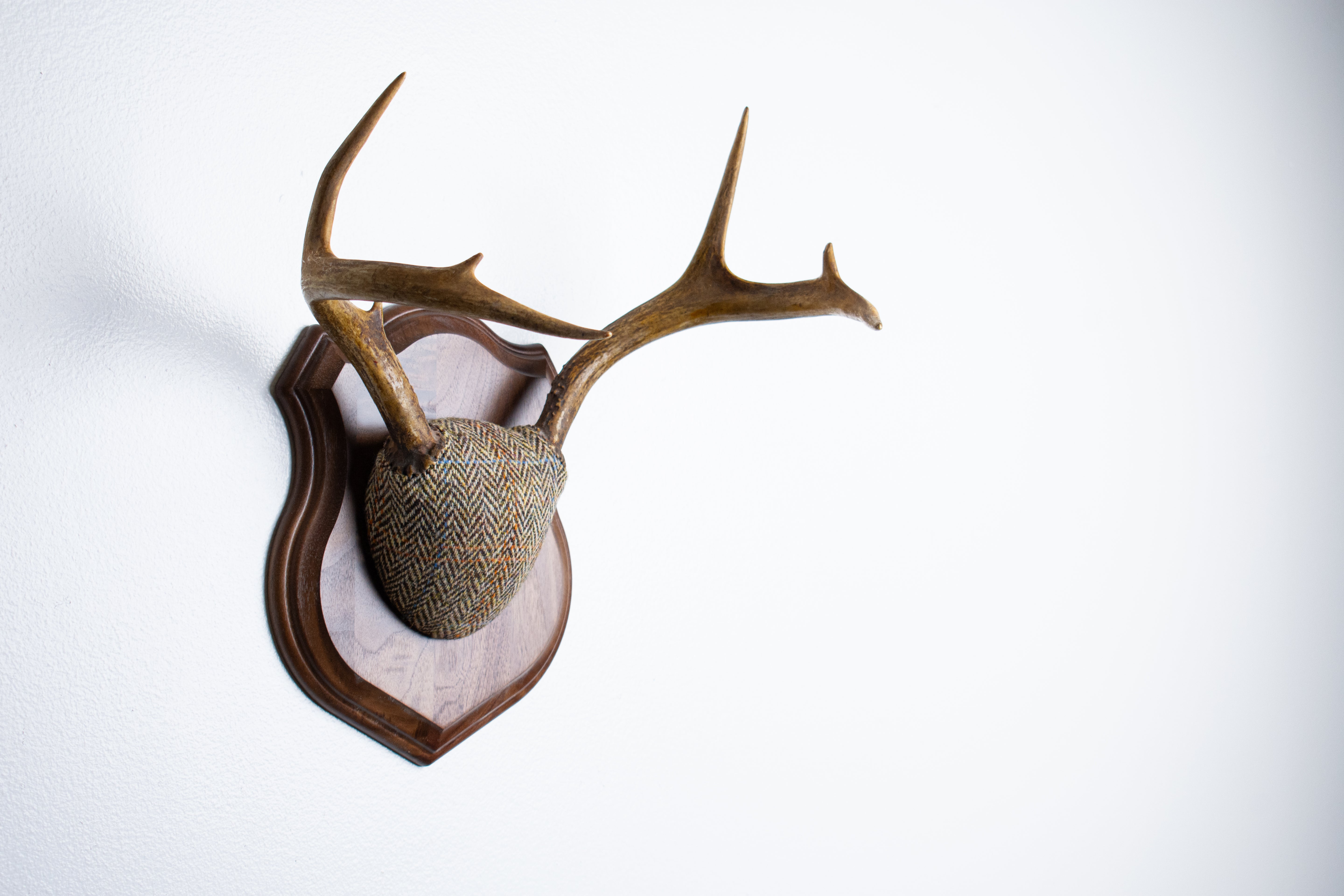 Whitetail Deer Antler Mount | Brown Herringbone | 26